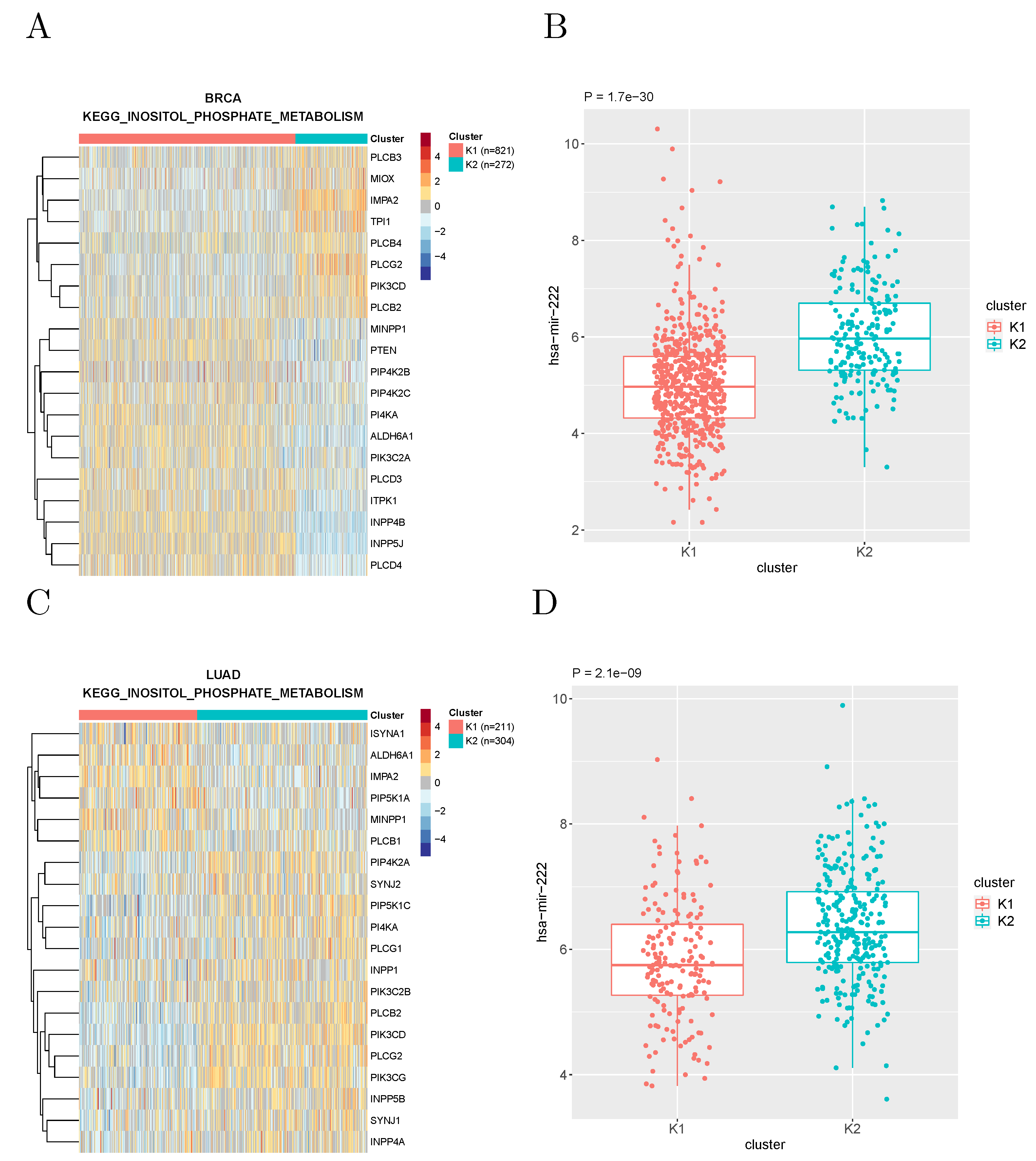 Cancers 14 02145 g004