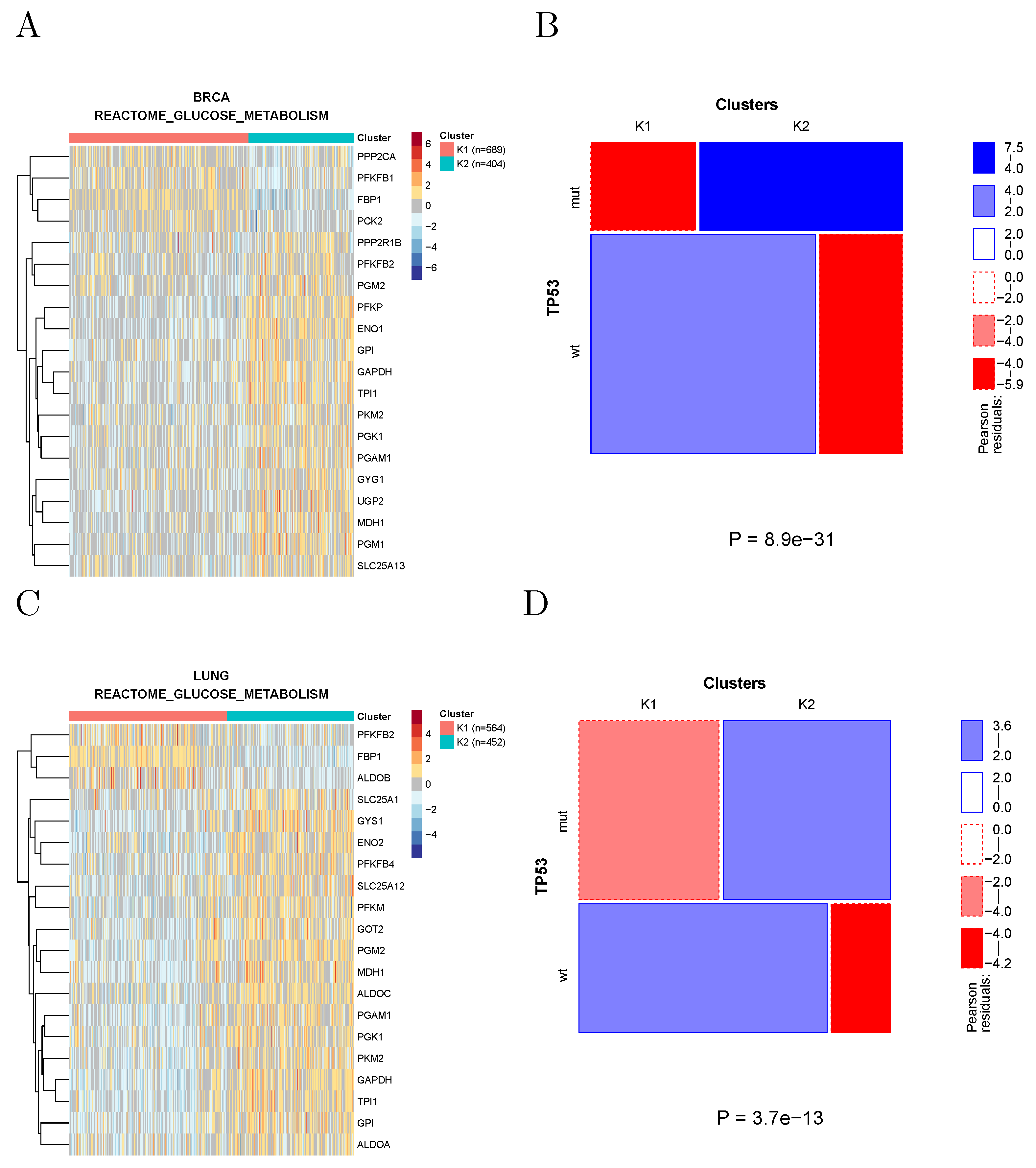 Cancers 14 02145 g005
