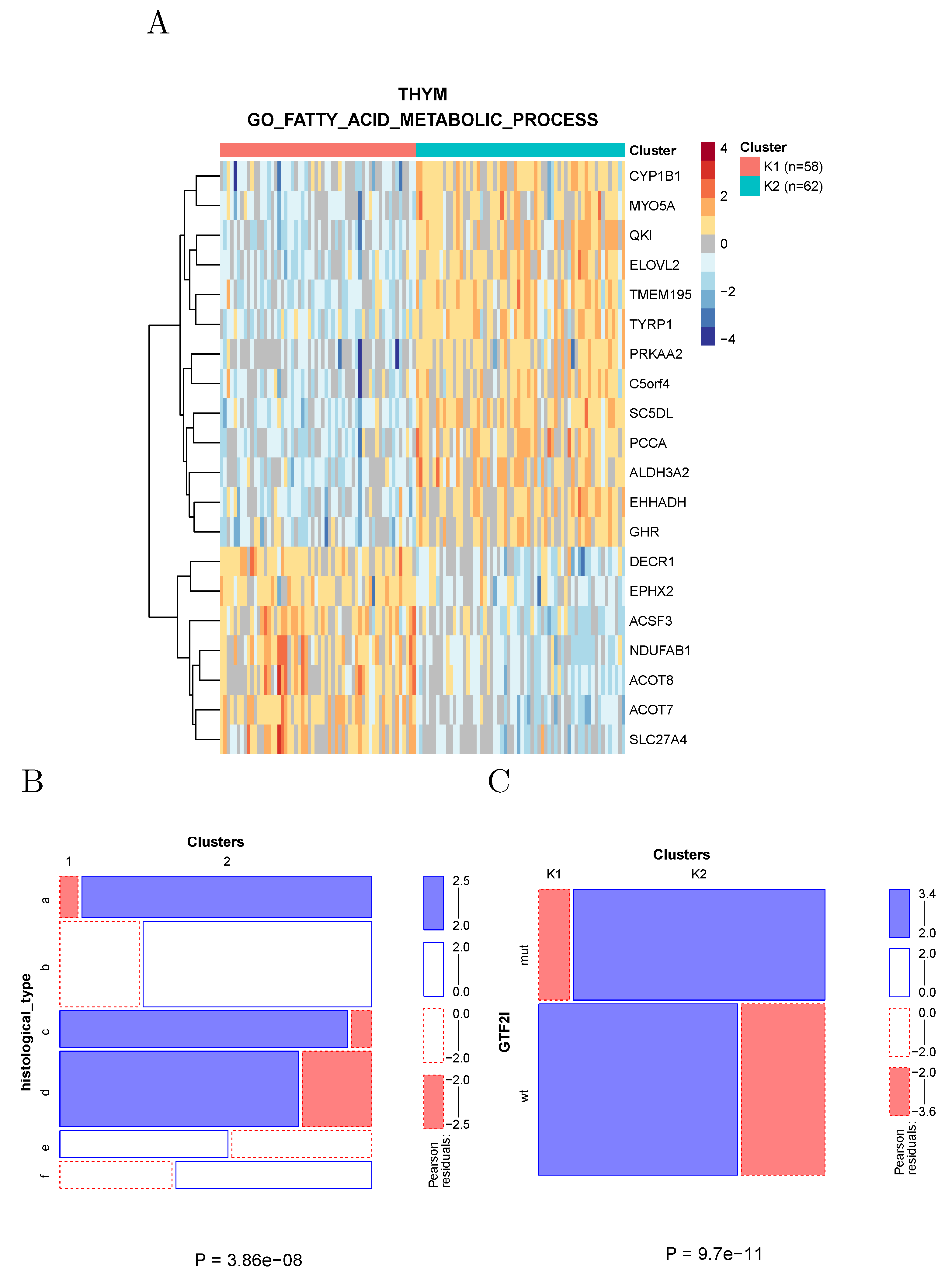 Cancers 14 02145 g007