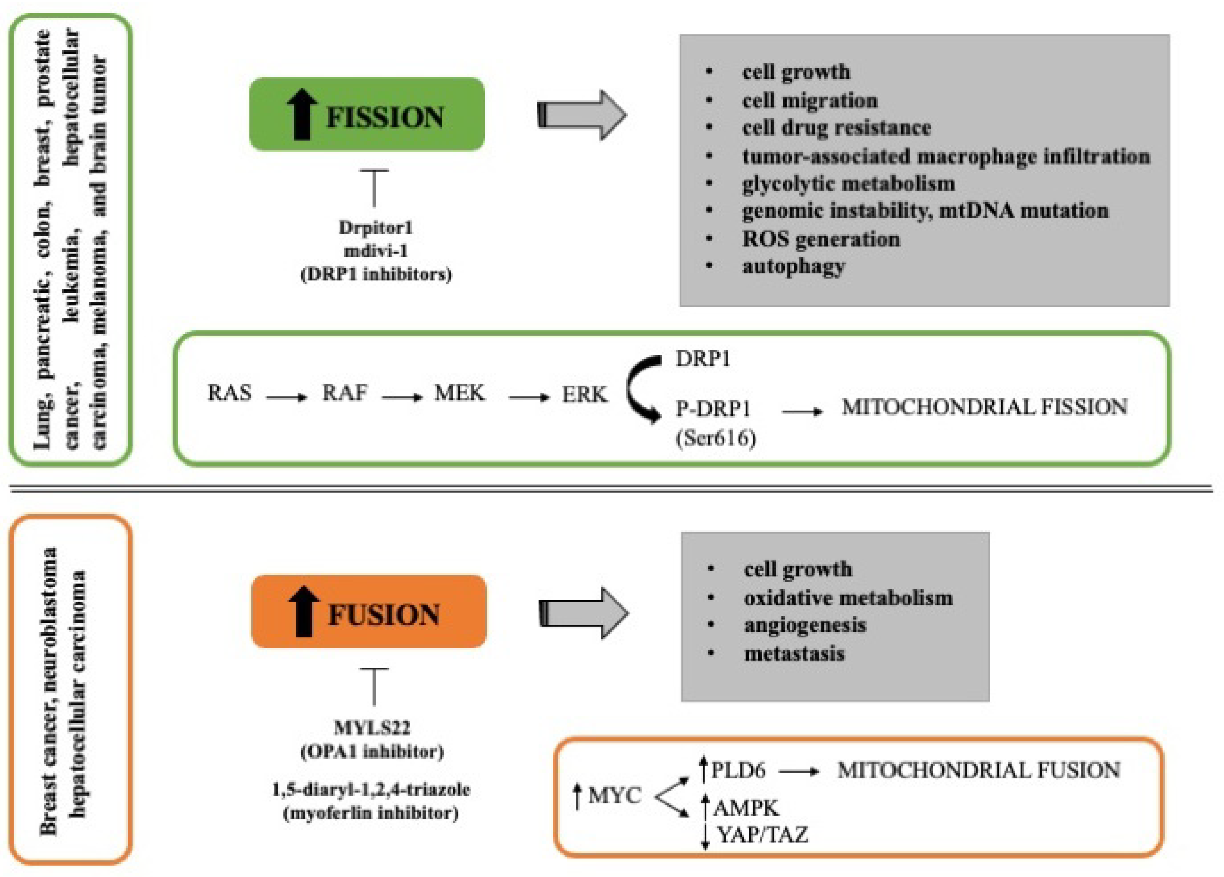 Cancers 14 02155 g001