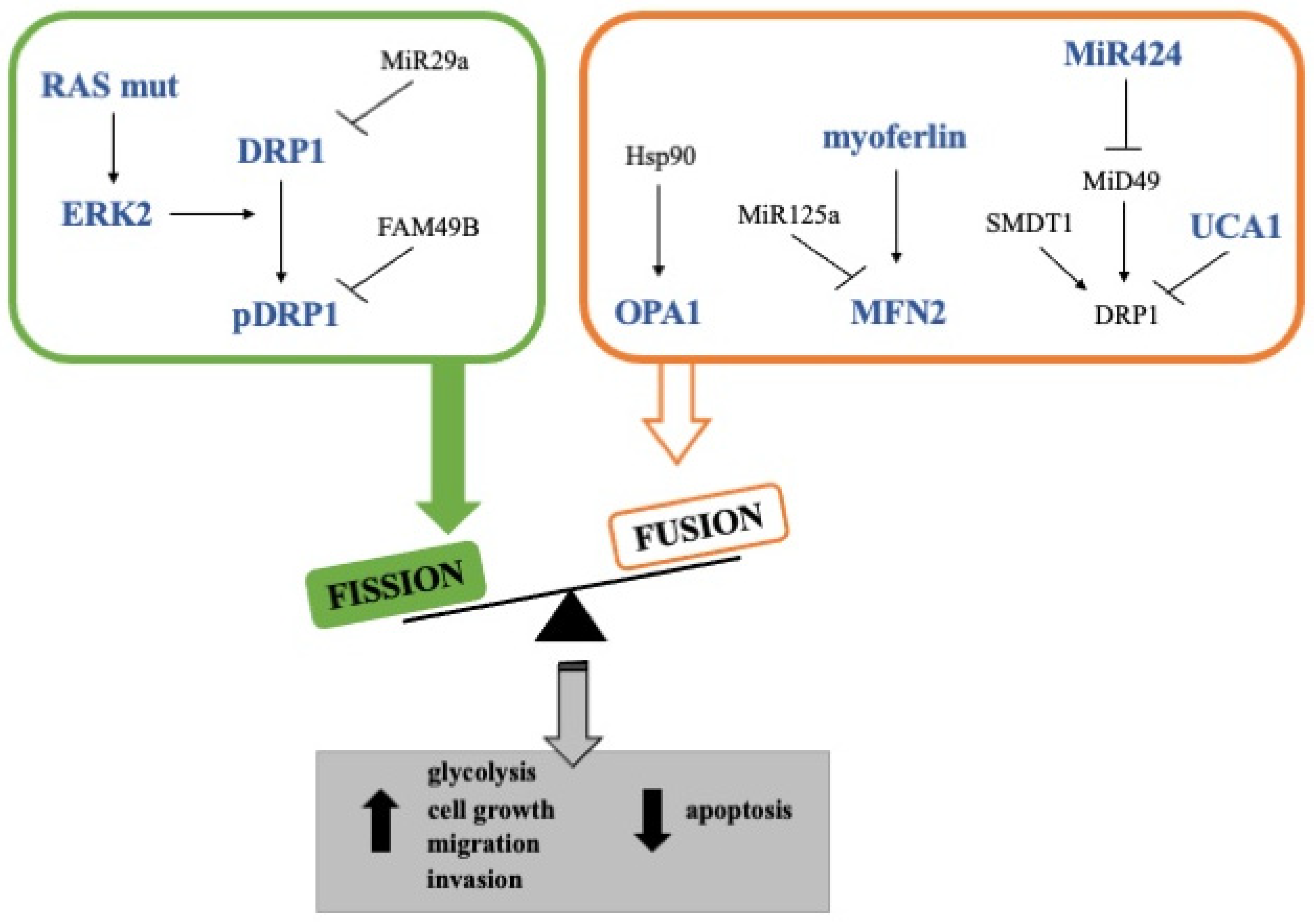 Cancers 14 02155 g002
