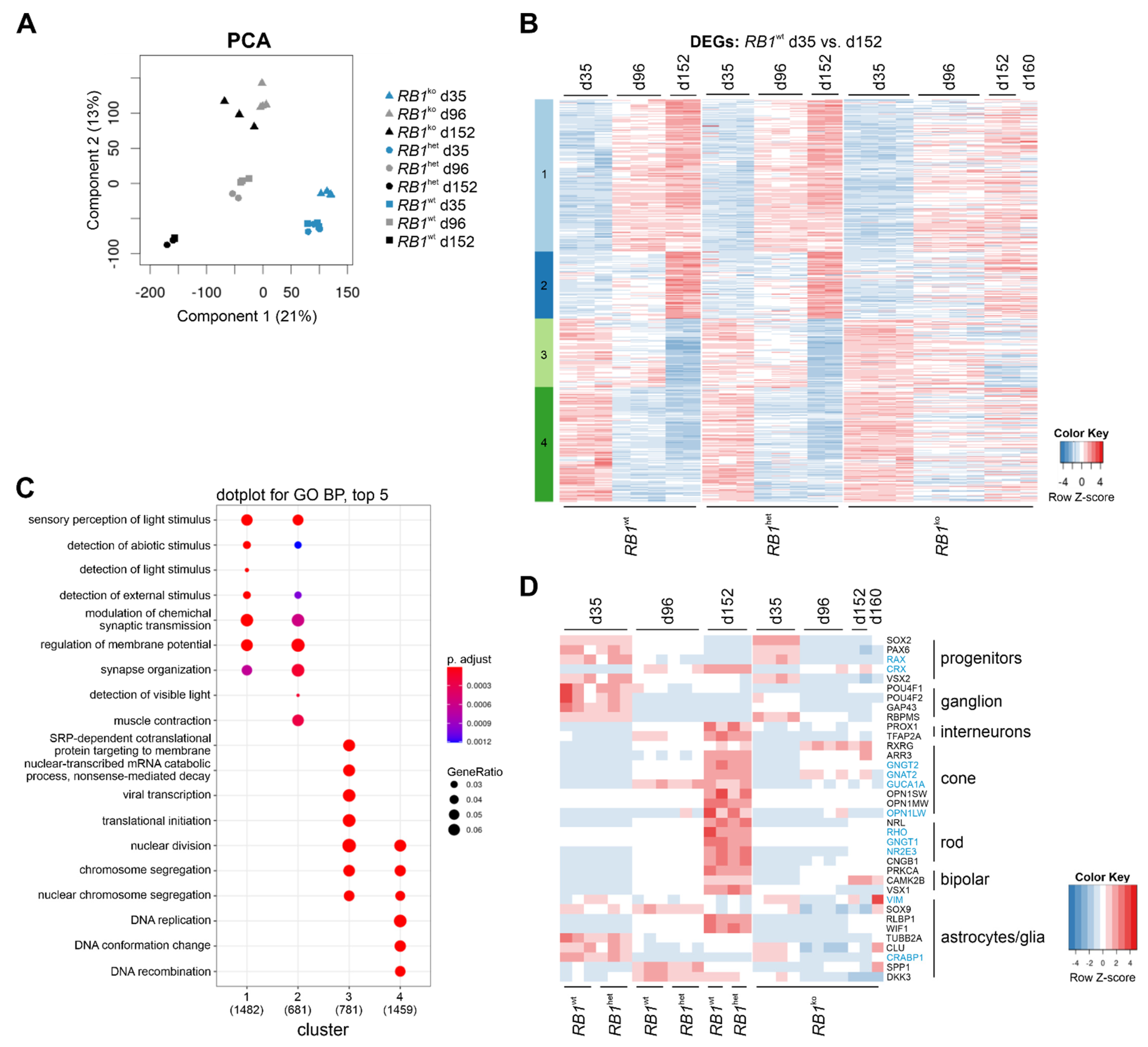 Cancers 14 02166 g005