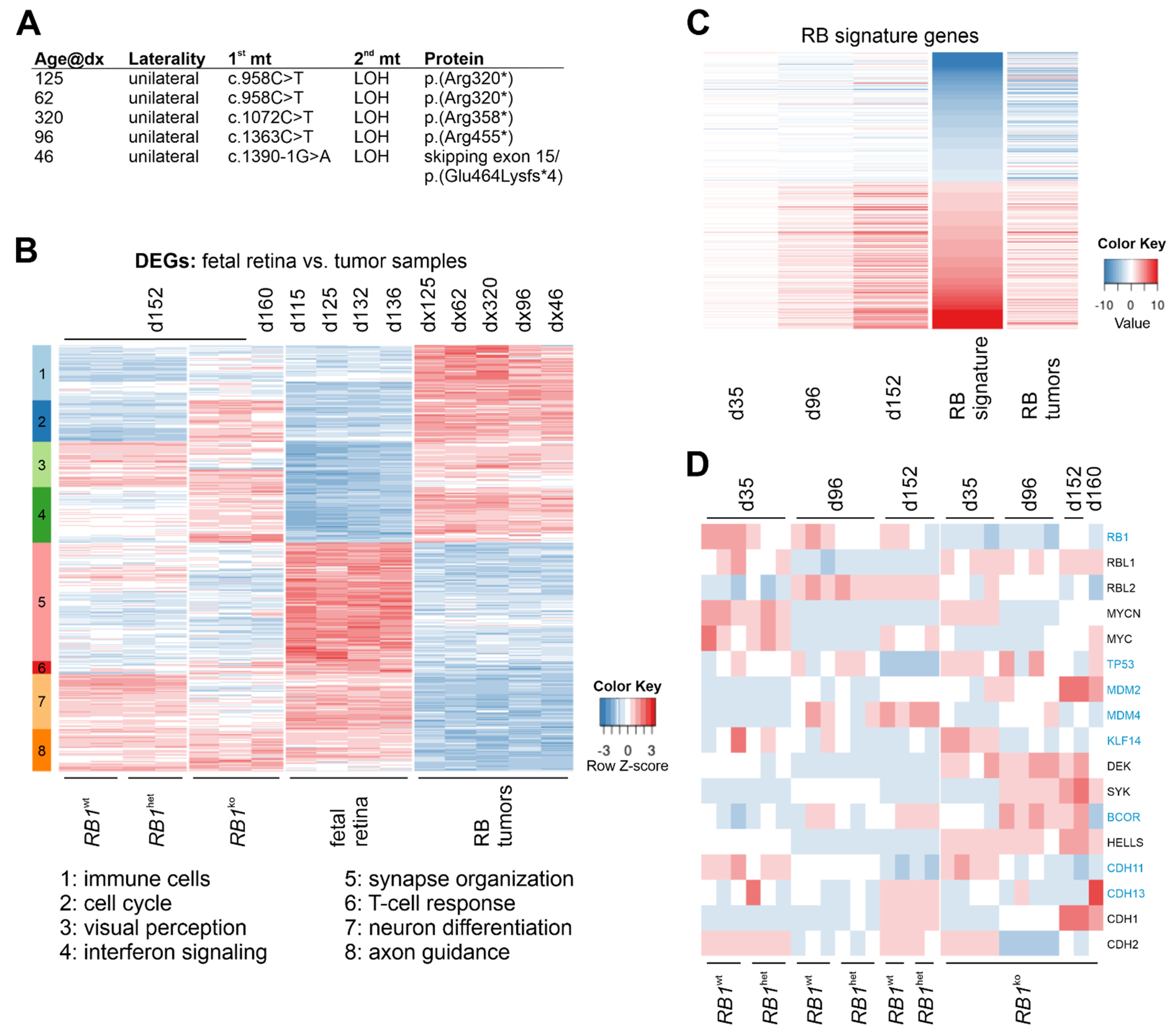 Cancers 14 02166 g007