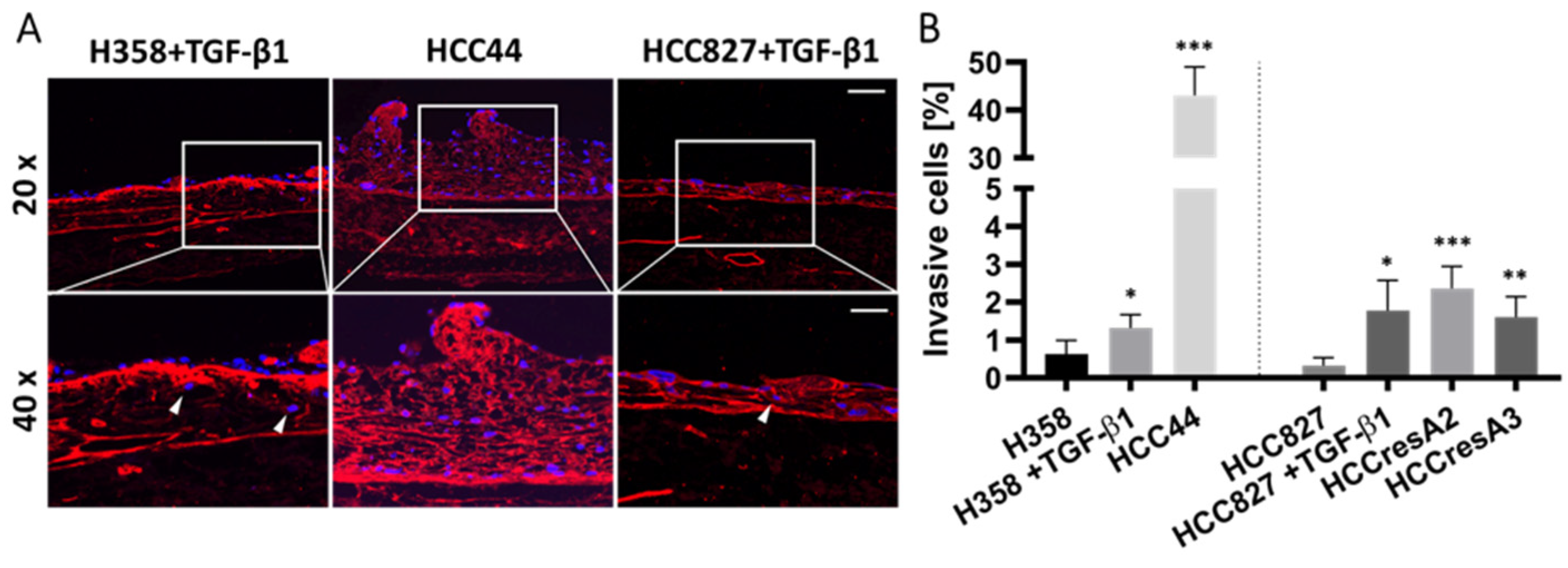 Cancers 14 02176 g003