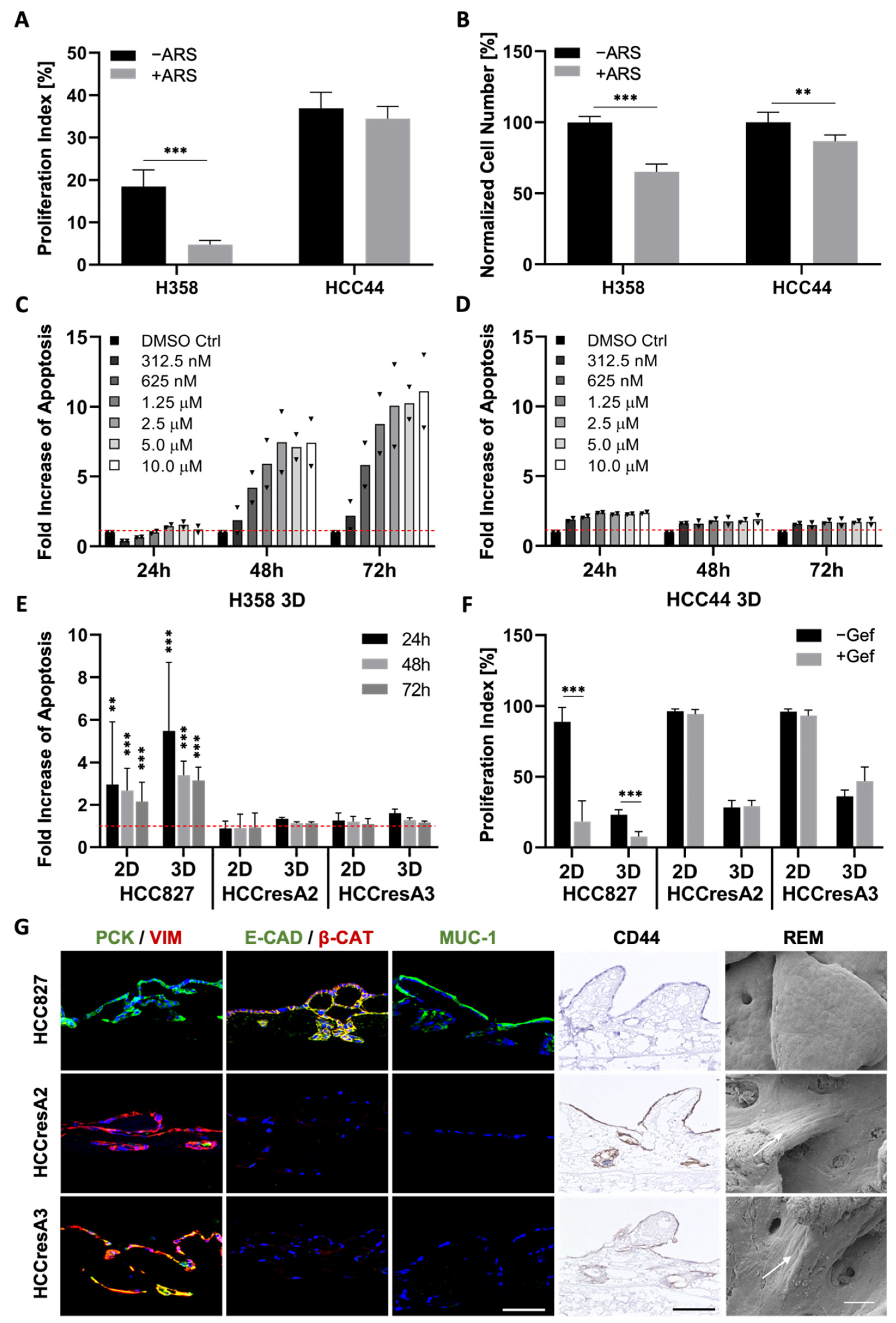 Cancers 14 02176 g004
