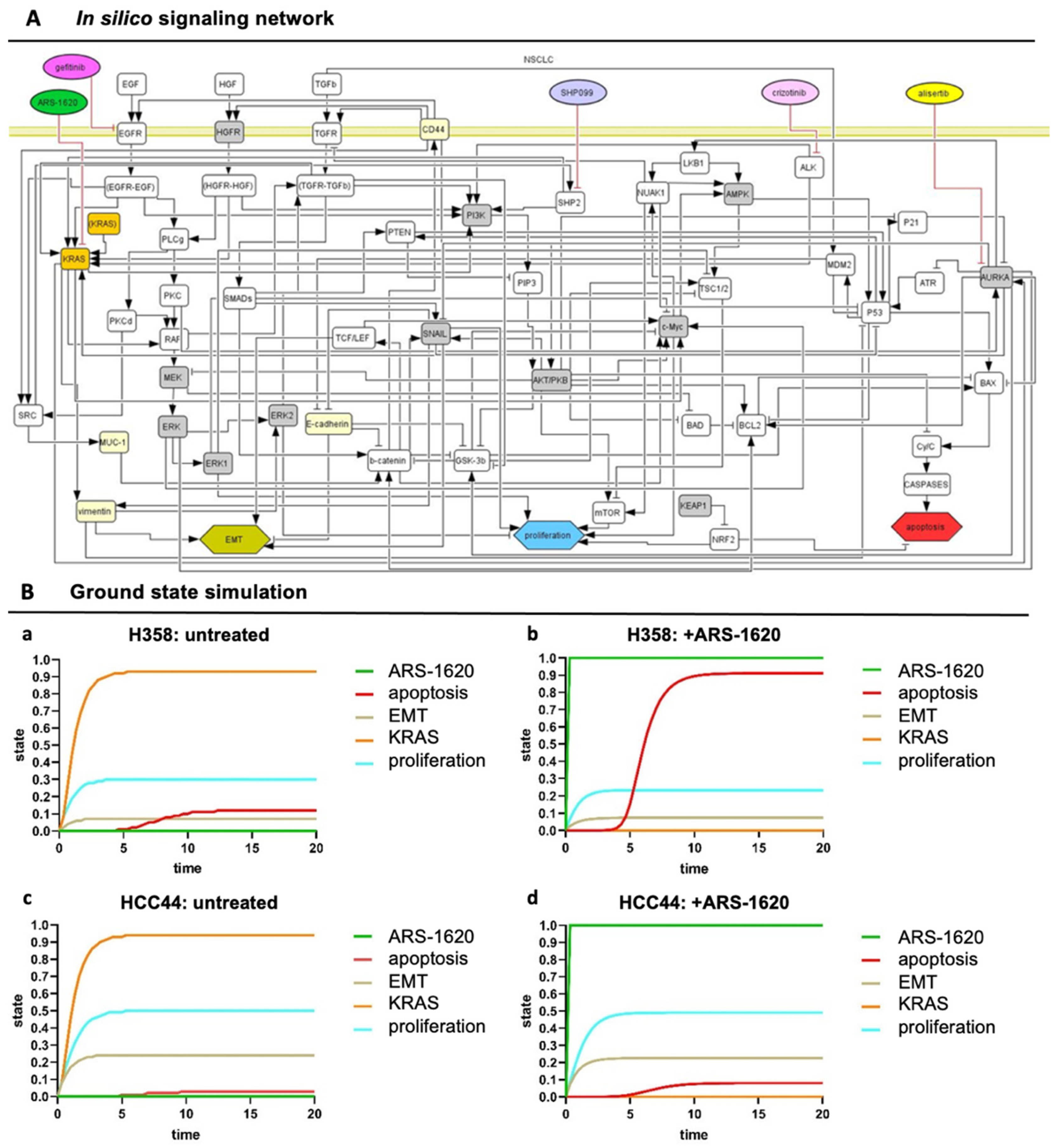 Cancers 14 02176 g005