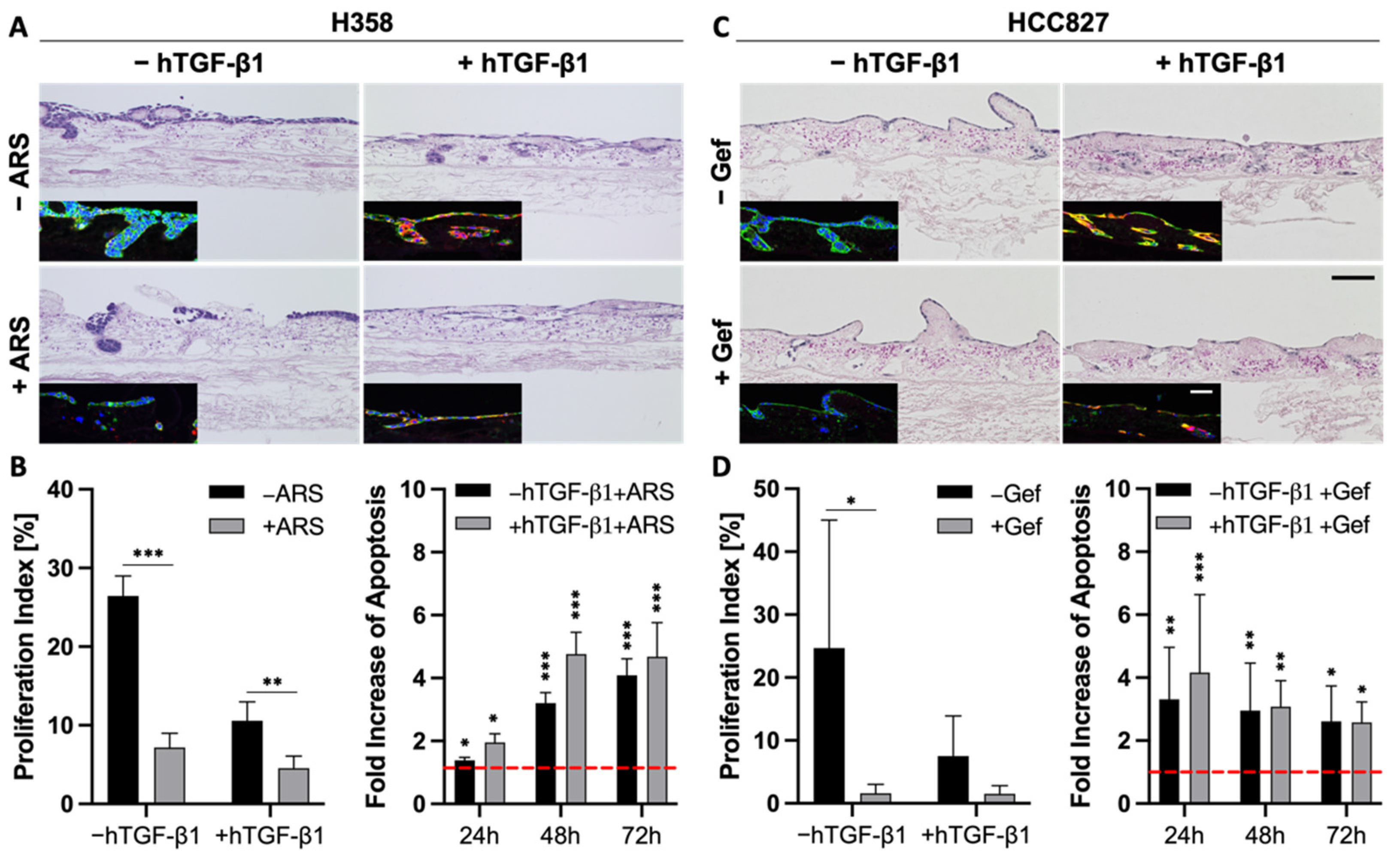 Cancers 14 02176 g006