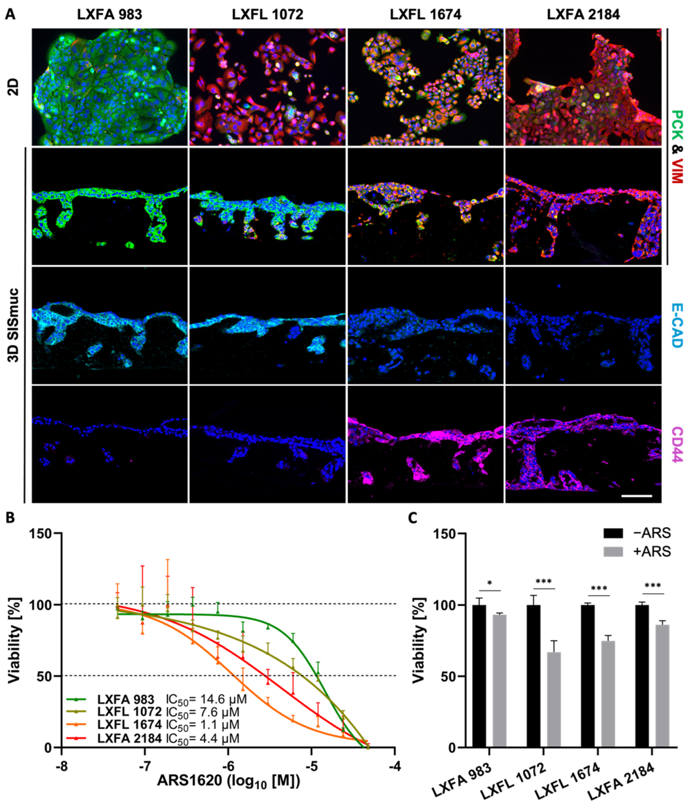Cancers 14 02176 g007