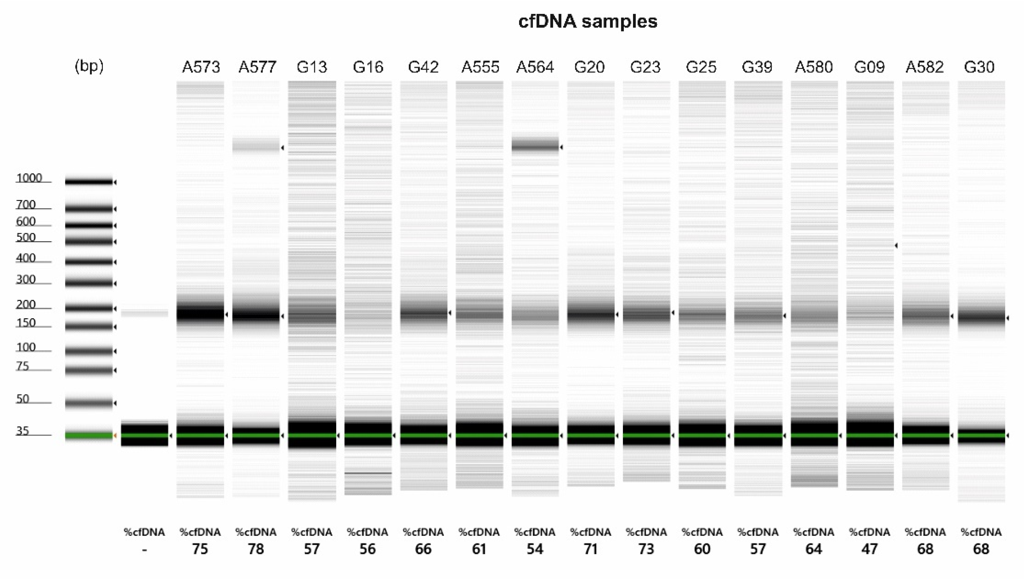 Cancers 14 02180 g0a1