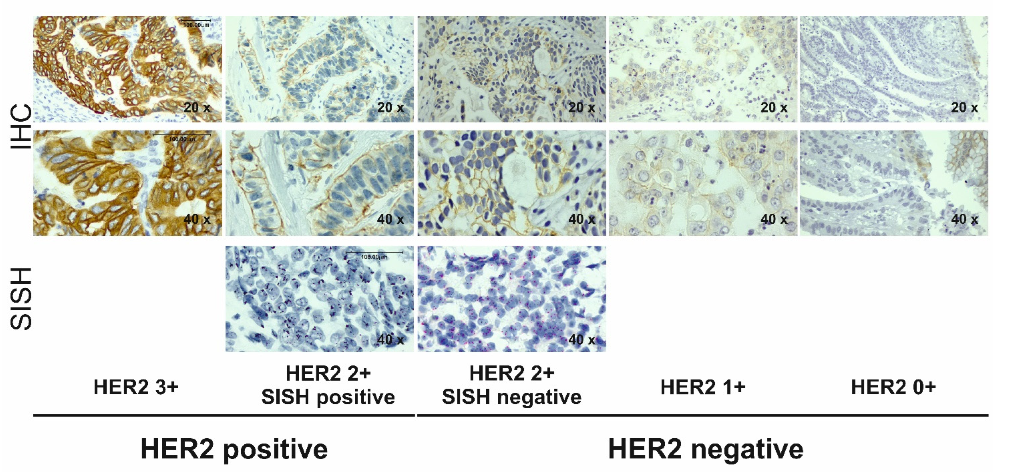 Cancers 14 02180 g0a2