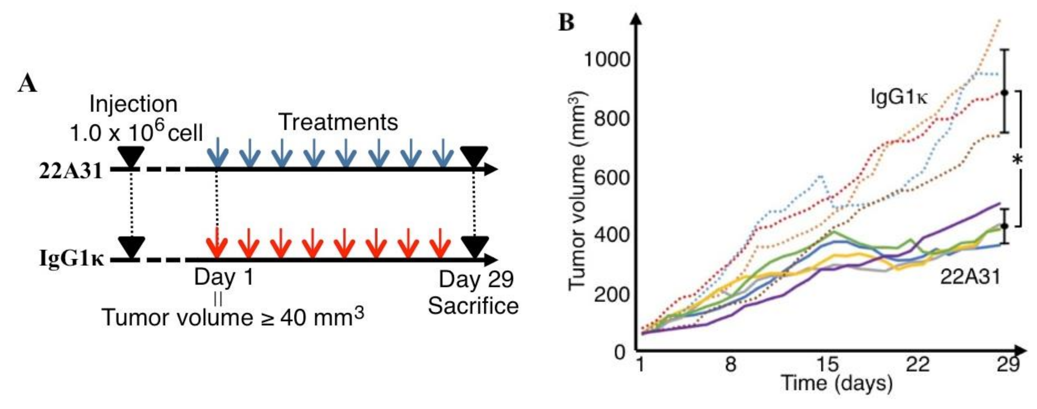 Cancers 14 02198 g002
