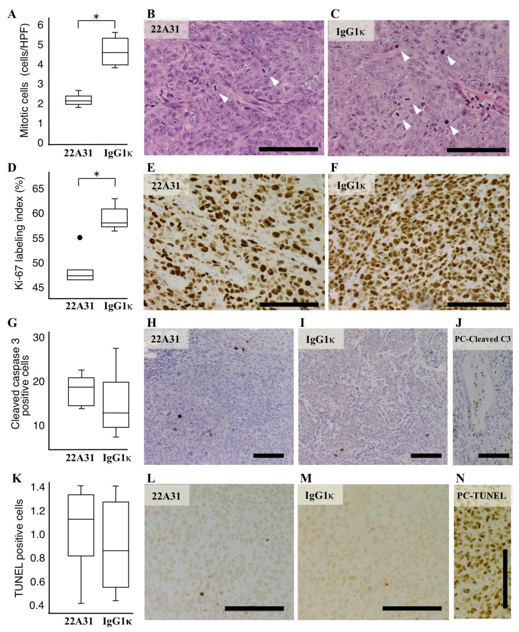 Cancers 14 02198 g003