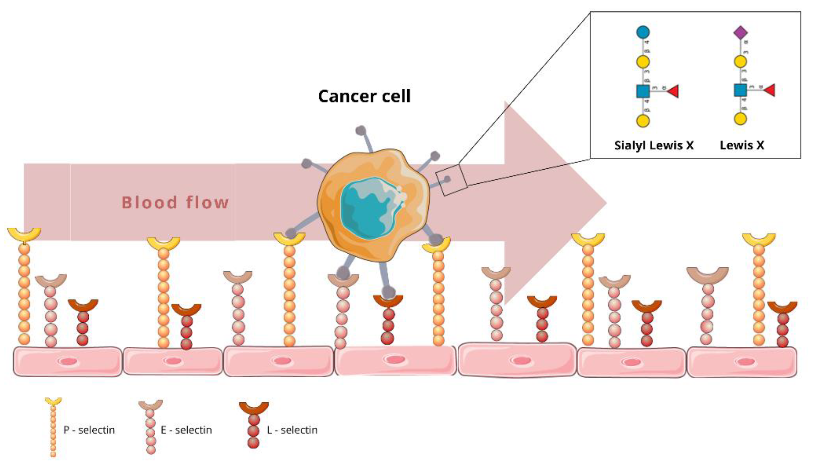 Cancers 14 02203 g002