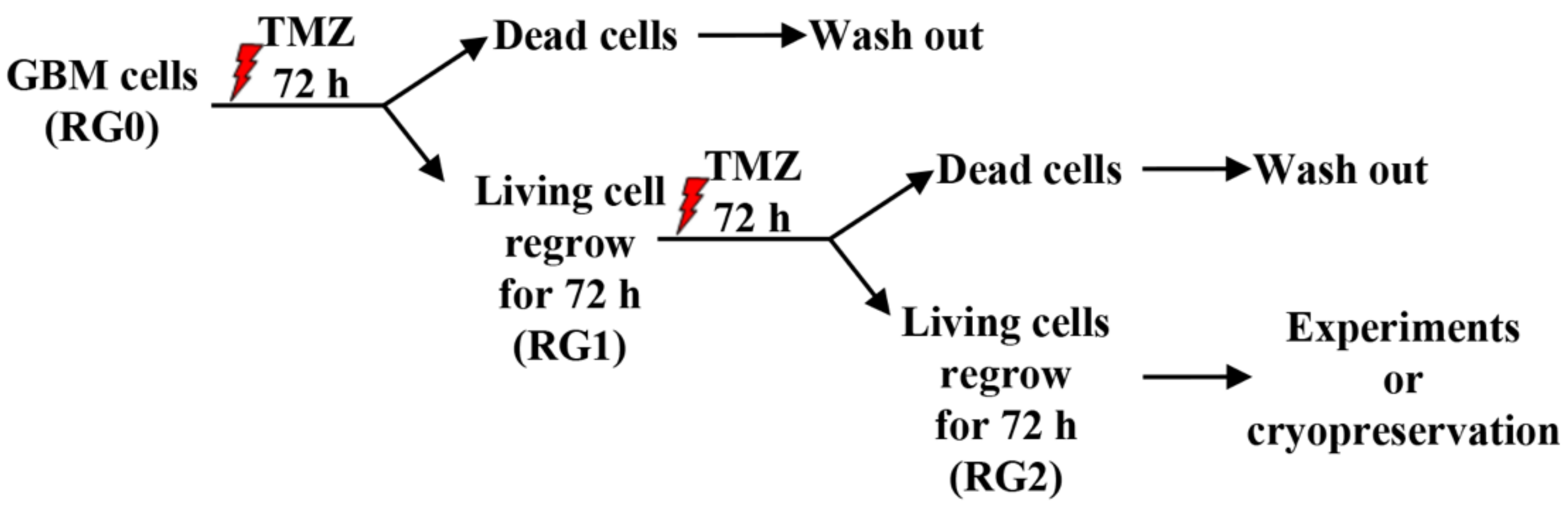 Cancers 14 02211 g001