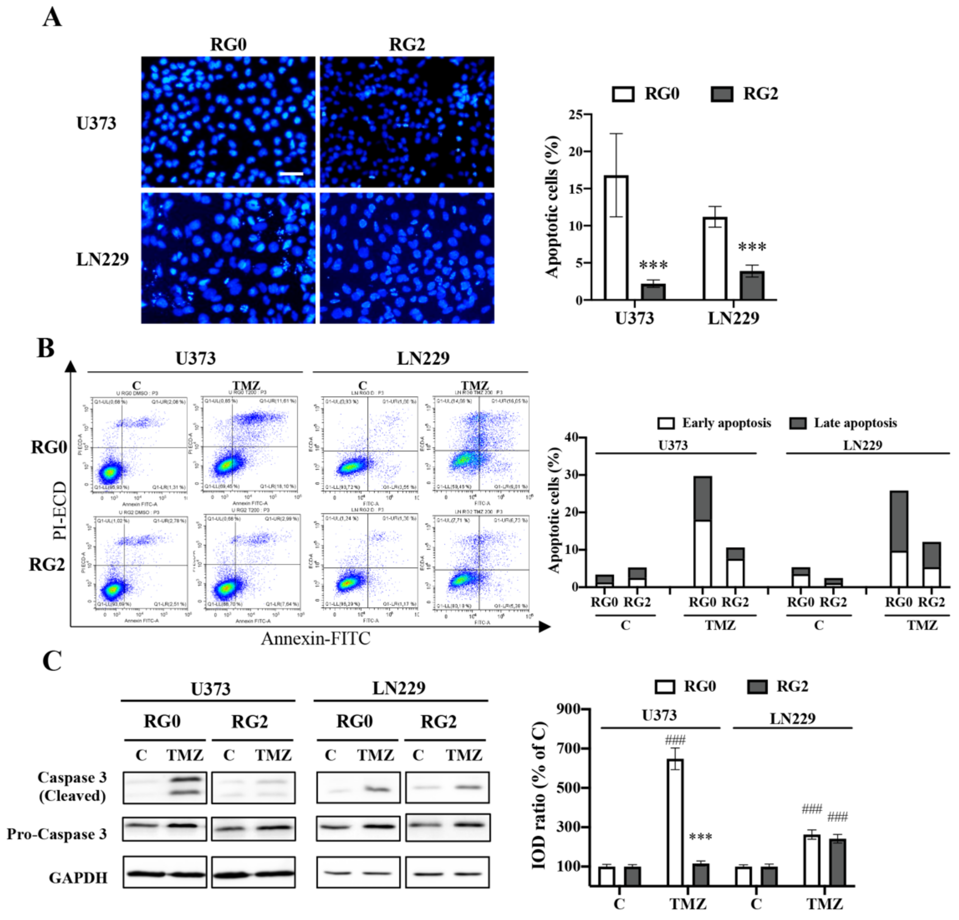 Cancers 14 02211 g006