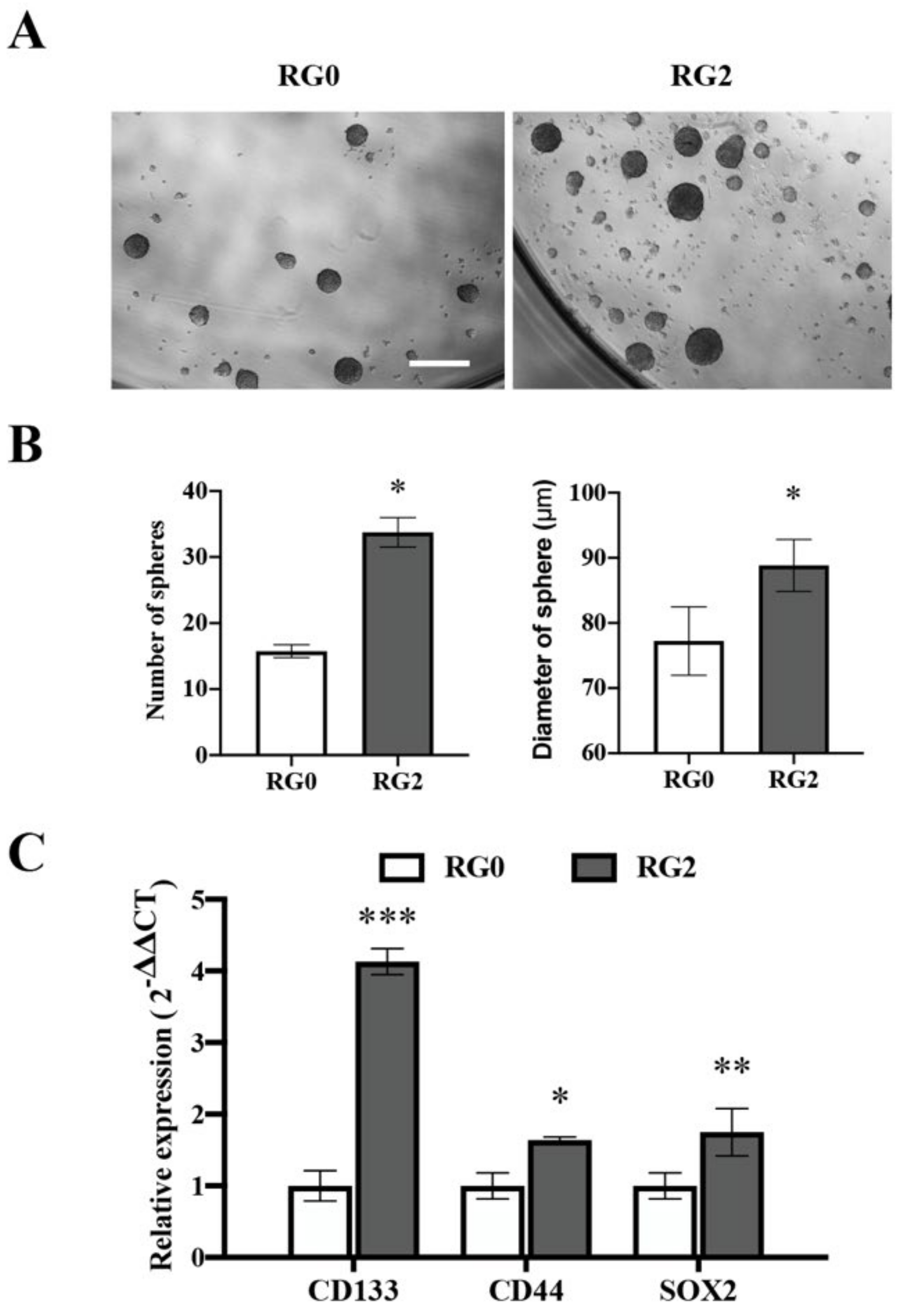 Cancers 14 02211 g007