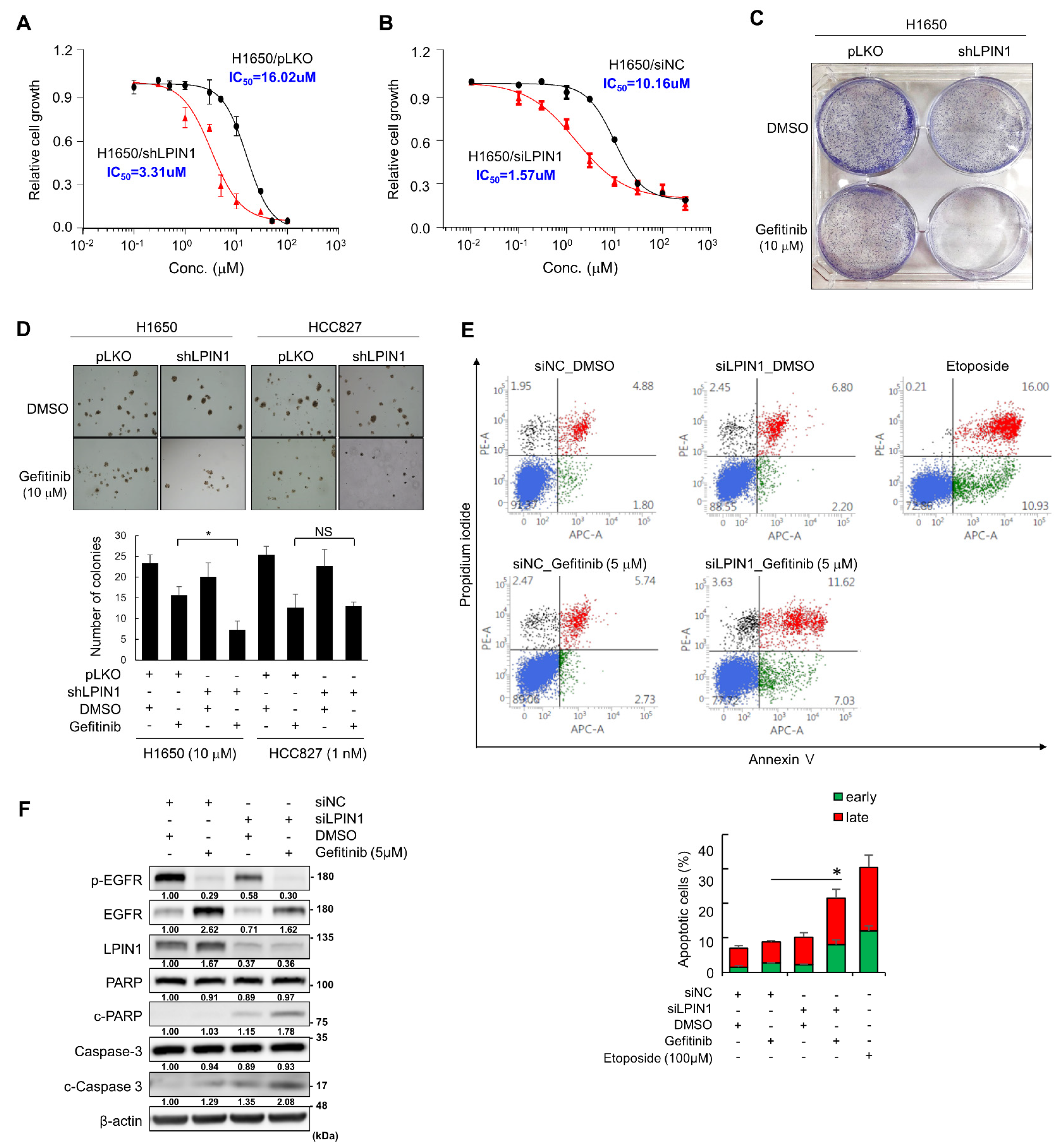 Cancers 14 02222 g001