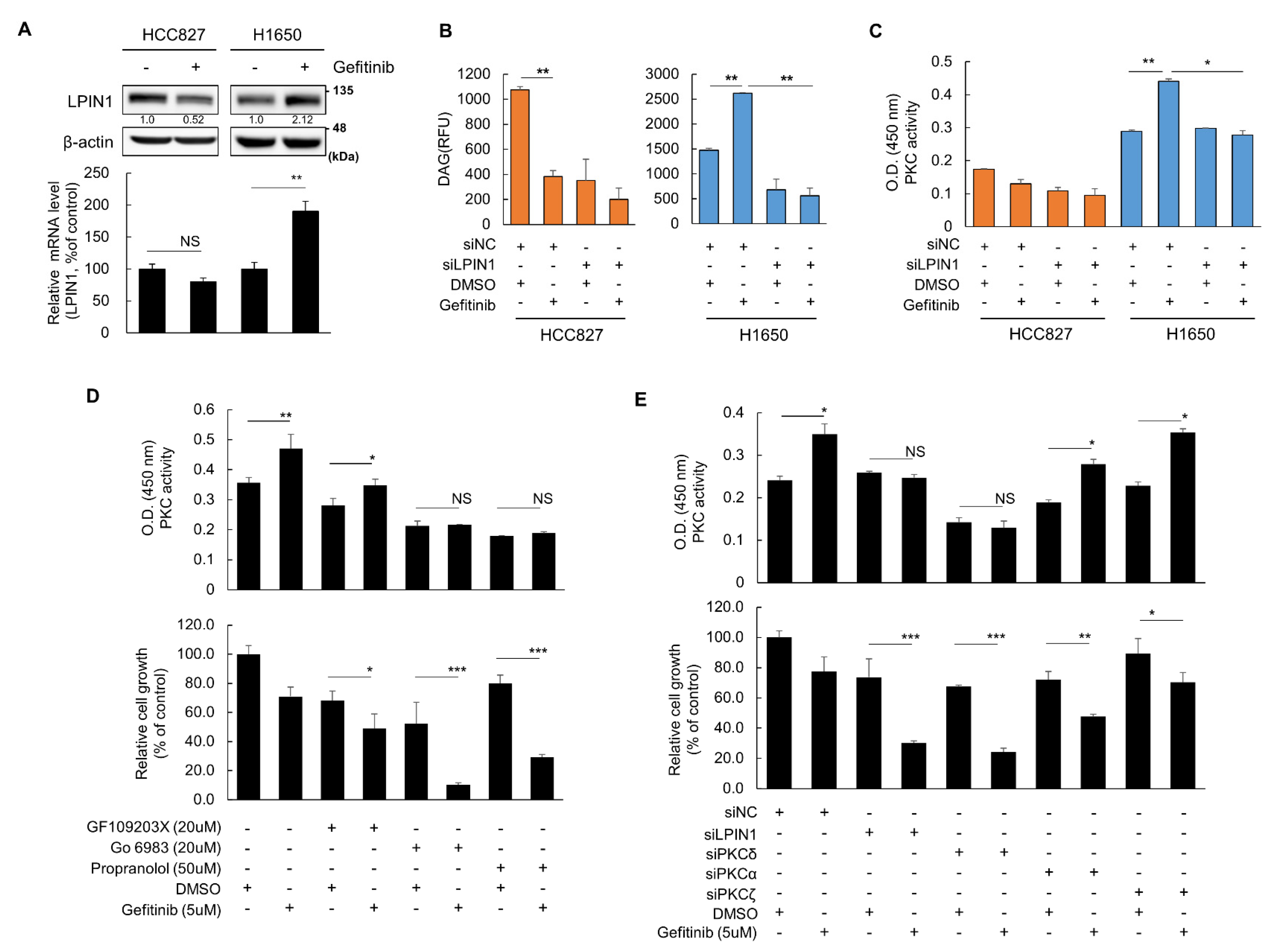 Cancers 14 02222 g002