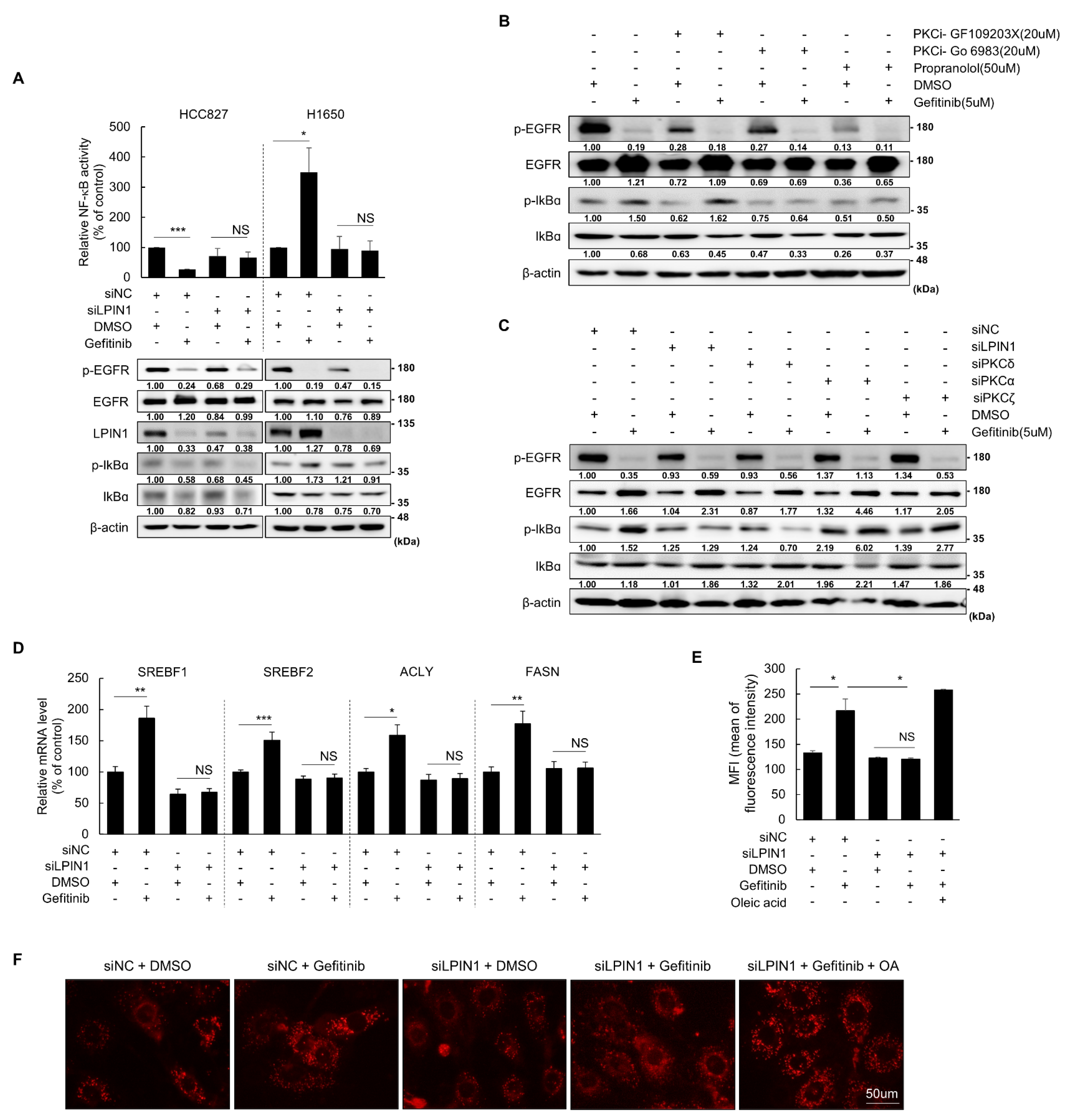 Cancers 14 02222 g003