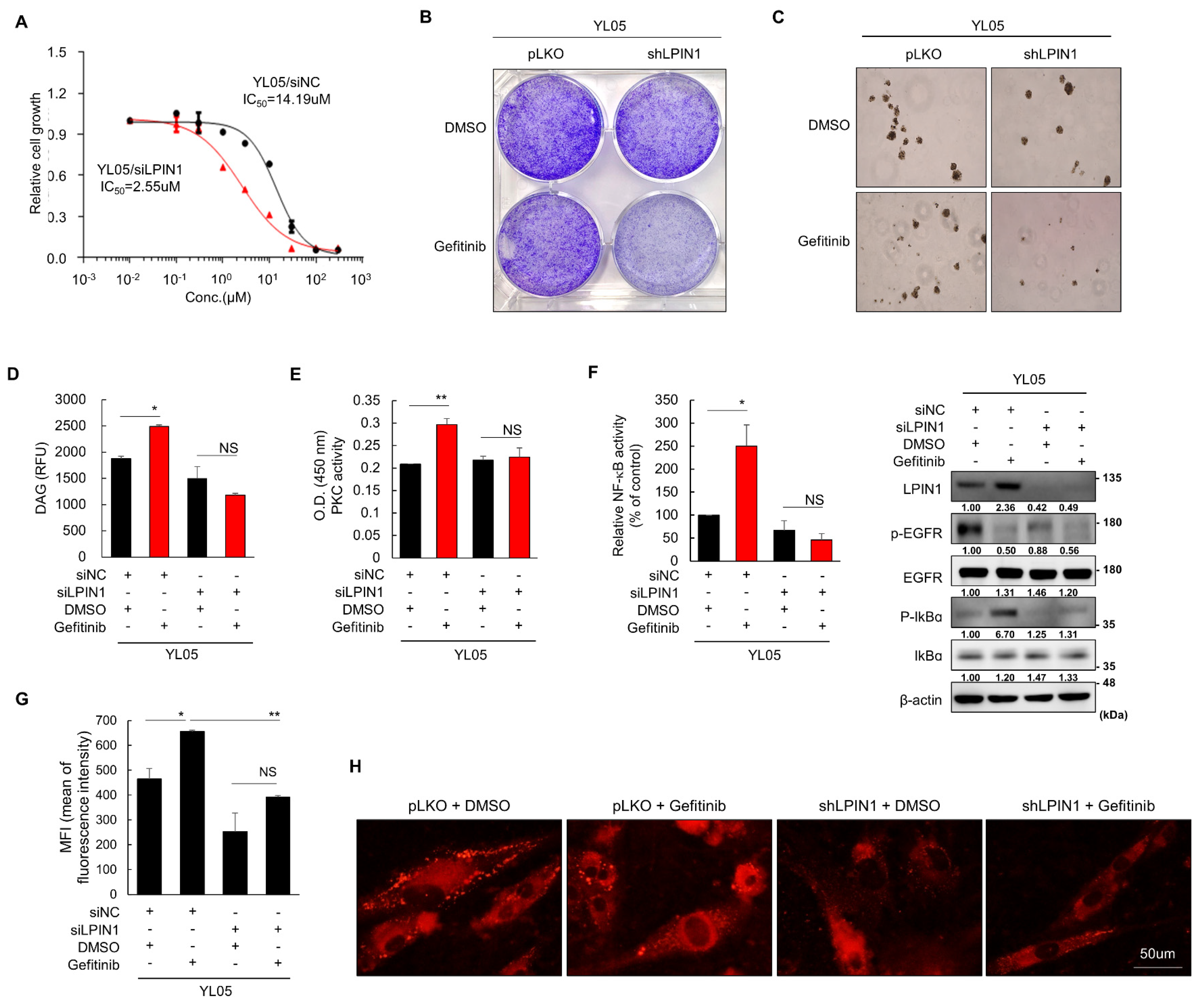 Cancers 14 02222 g005
