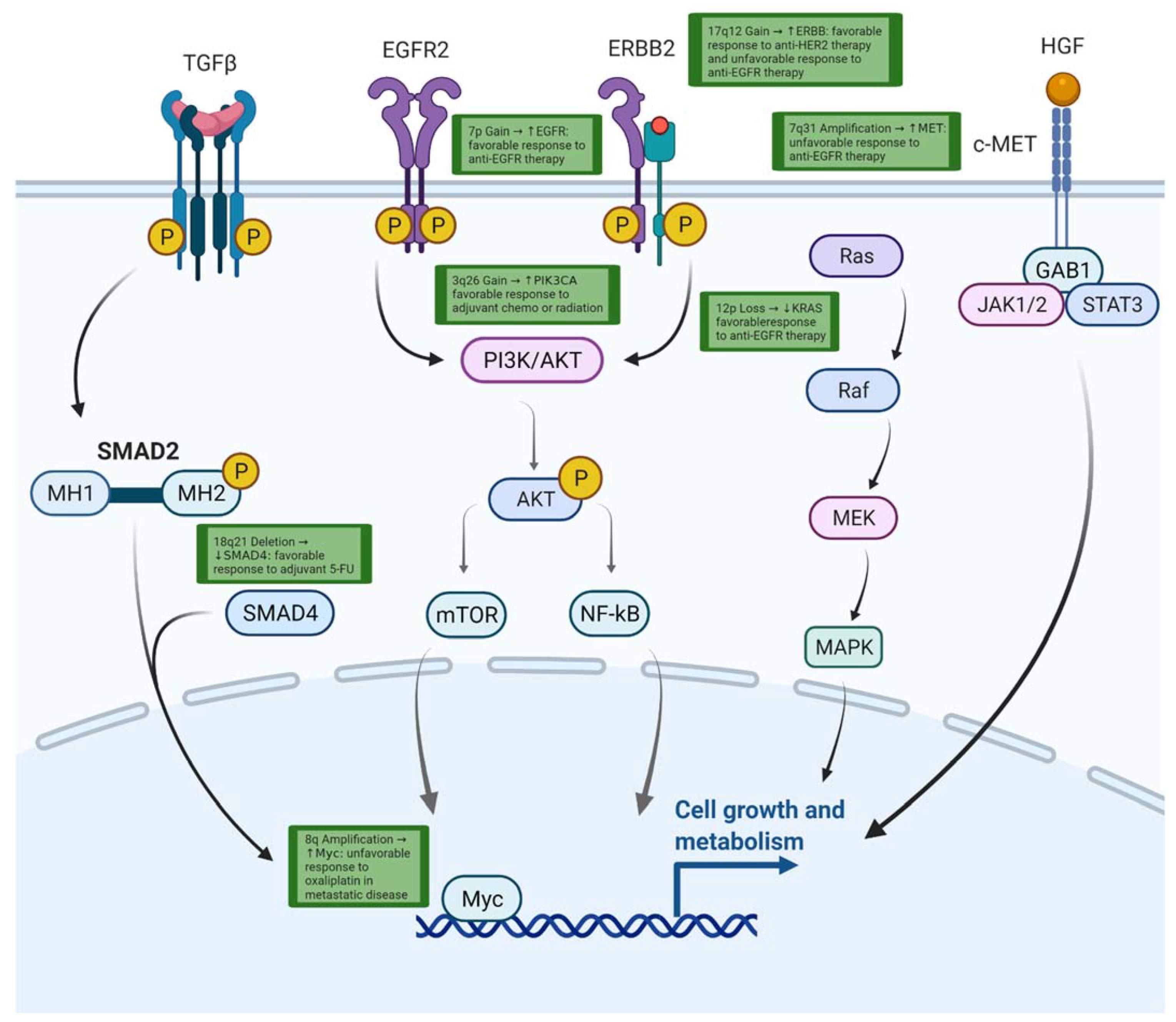 Cancers 14 02223 g002