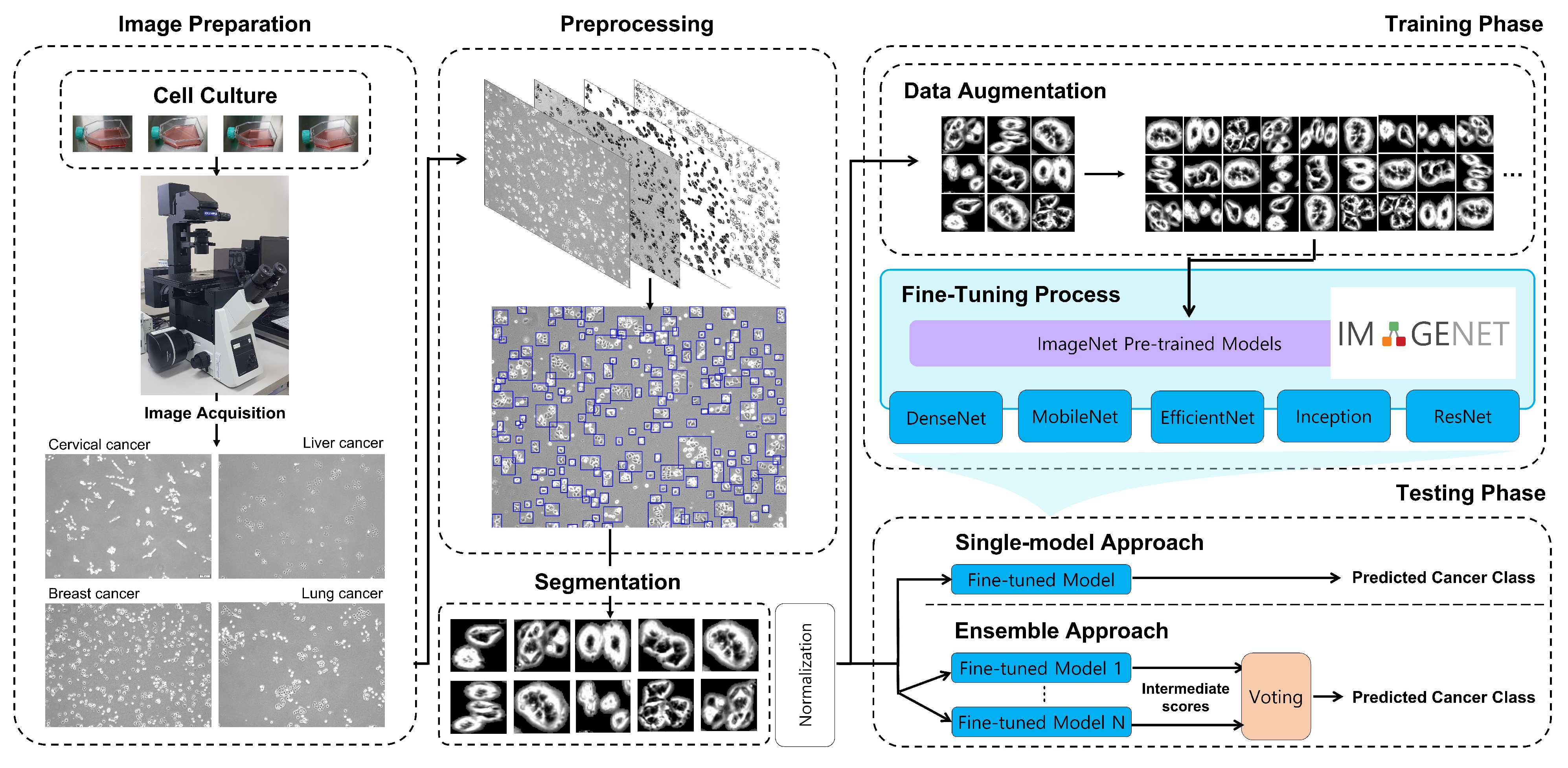Cancers 14 02224 g001