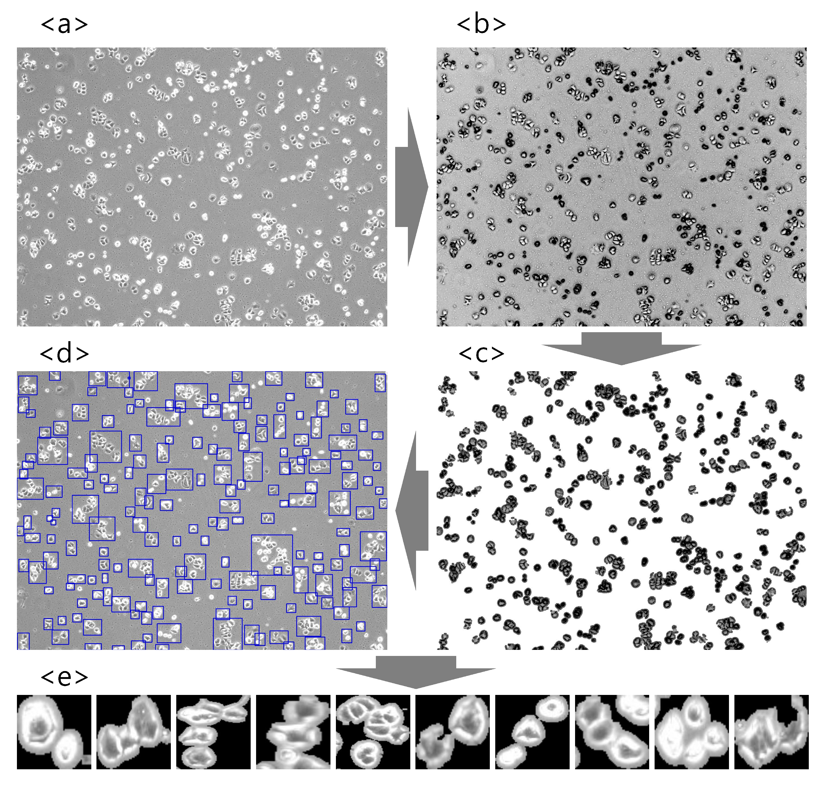 Cancers 14 02224 g002