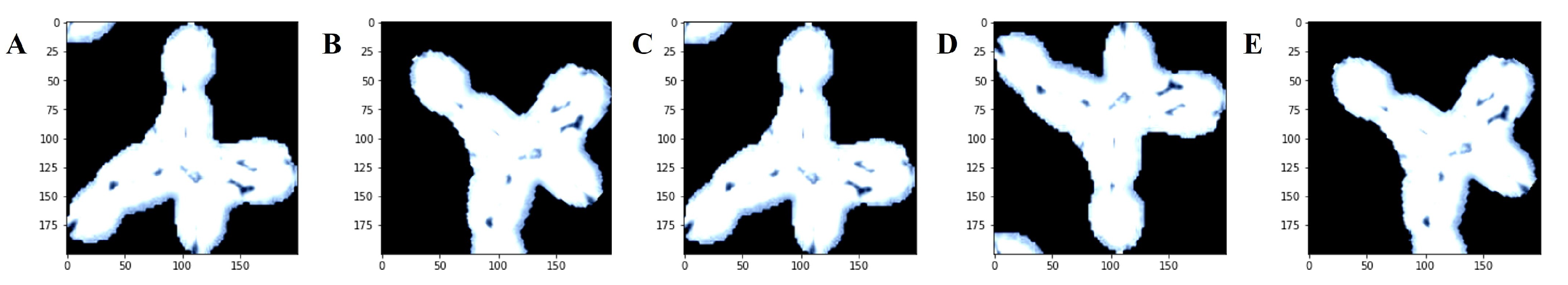 Cancers 14 02224 g003