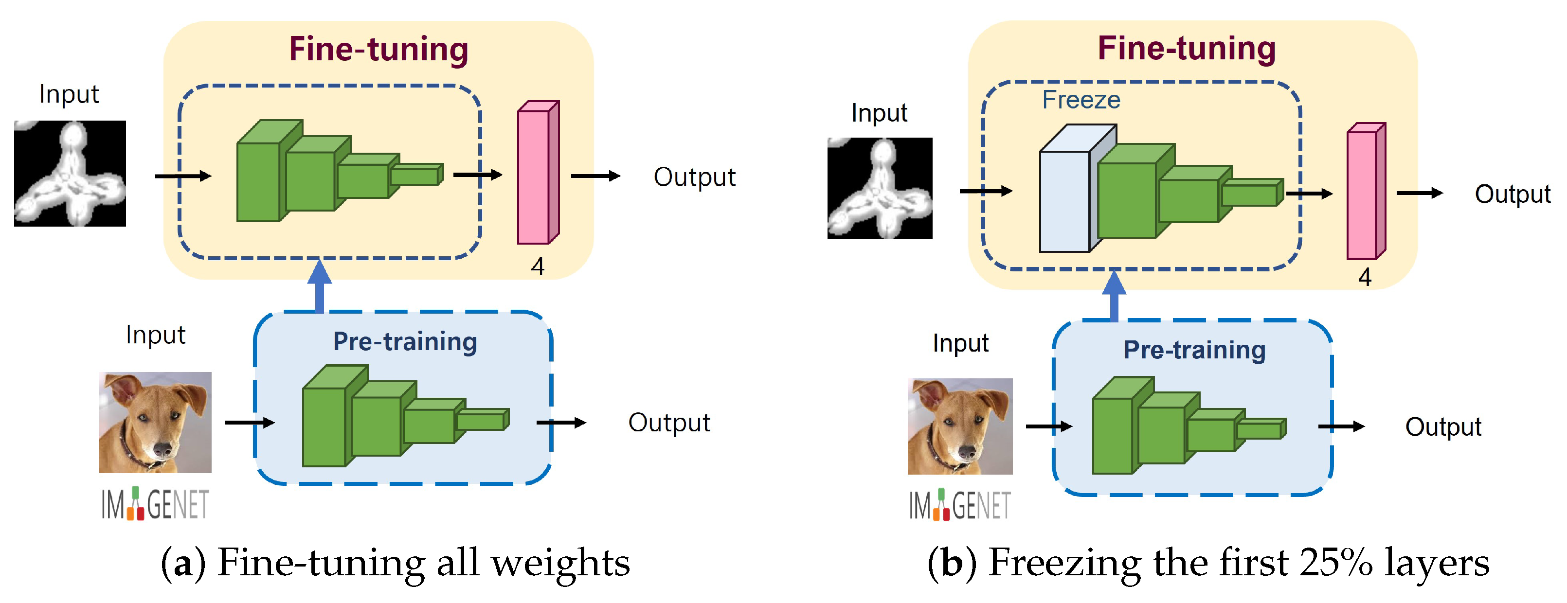 Cancers 14 02224 g004