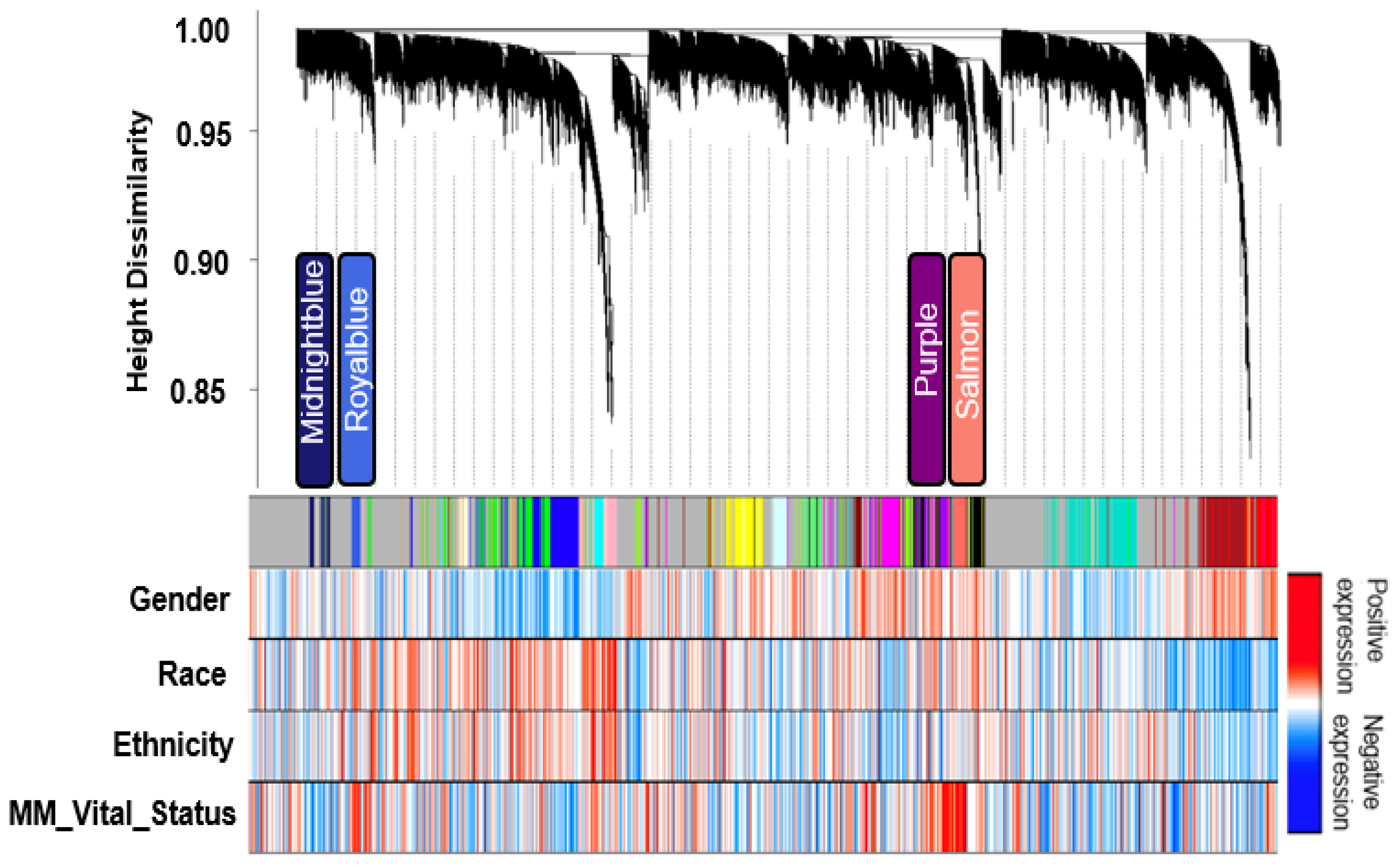 Cancers 14 02228 g002