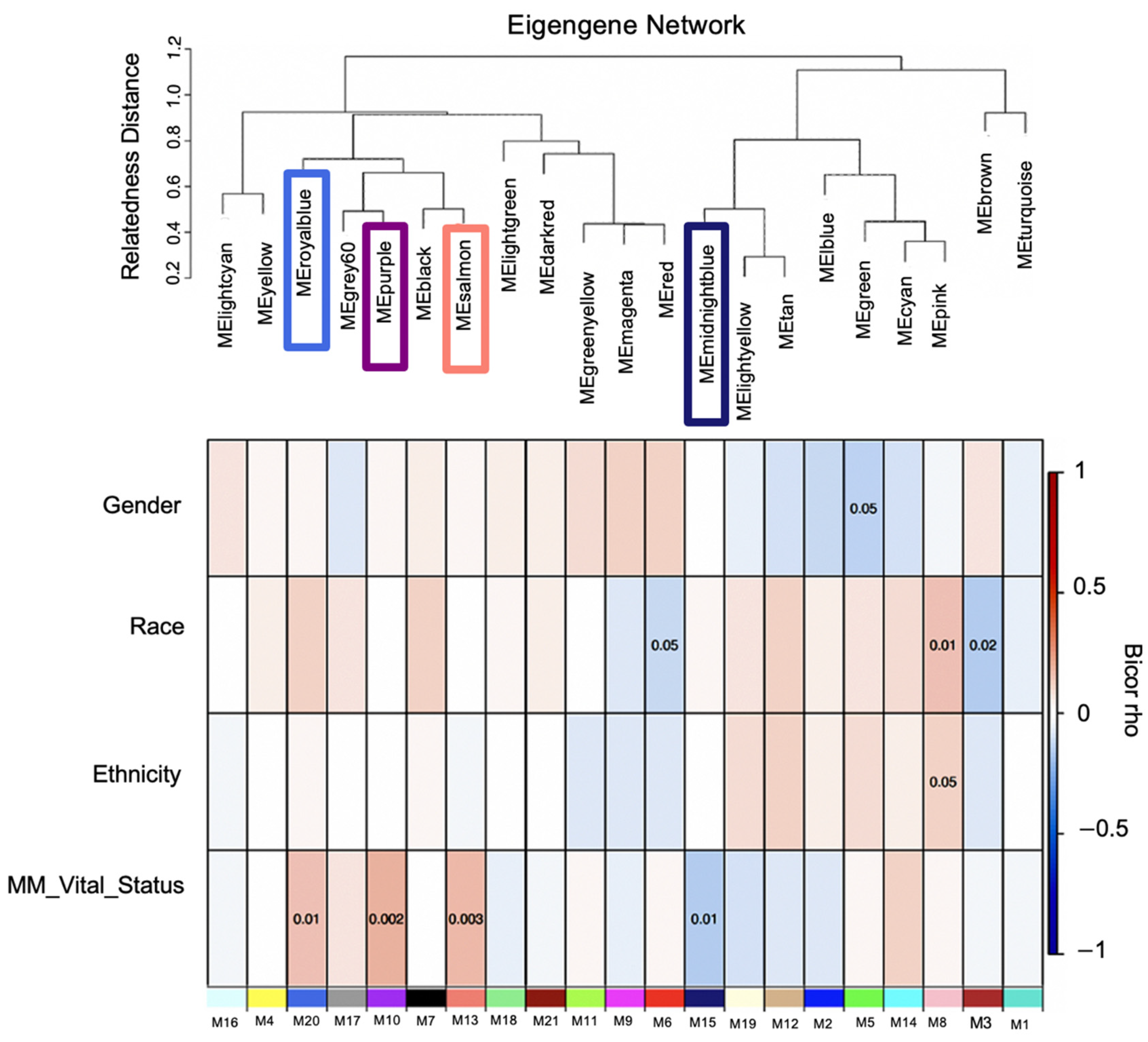 Cancers 14 02228 g003