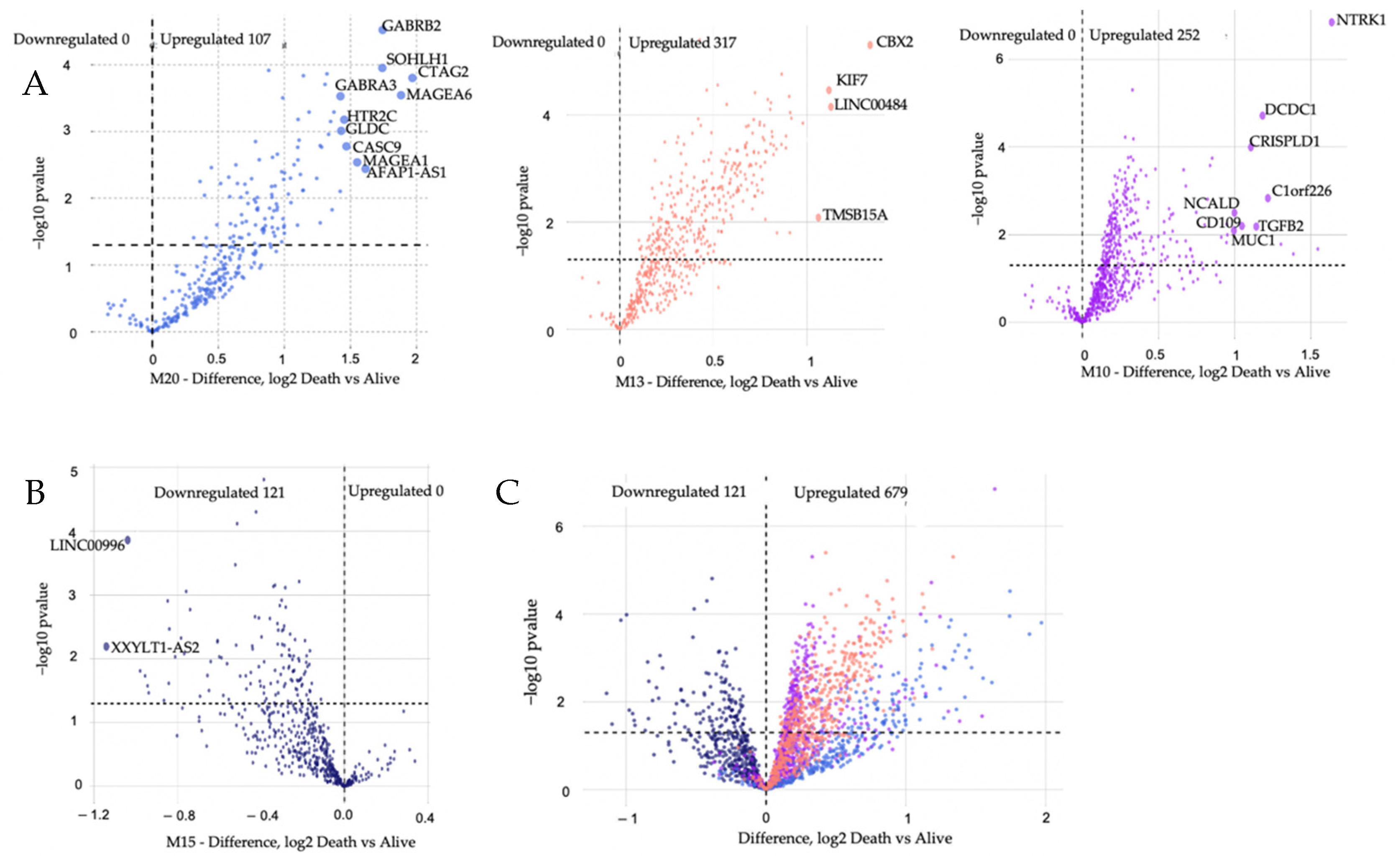 Cancers 14 02228 g005