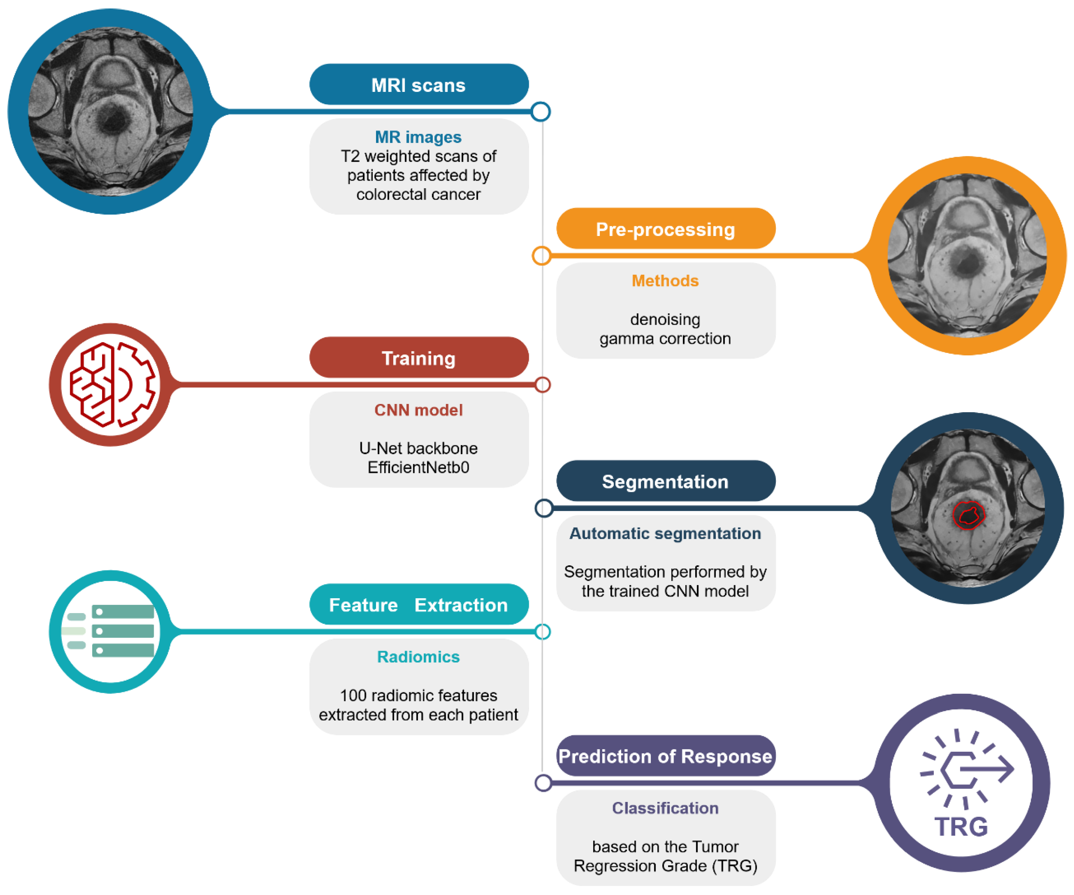 Cancers 14 02231 g001