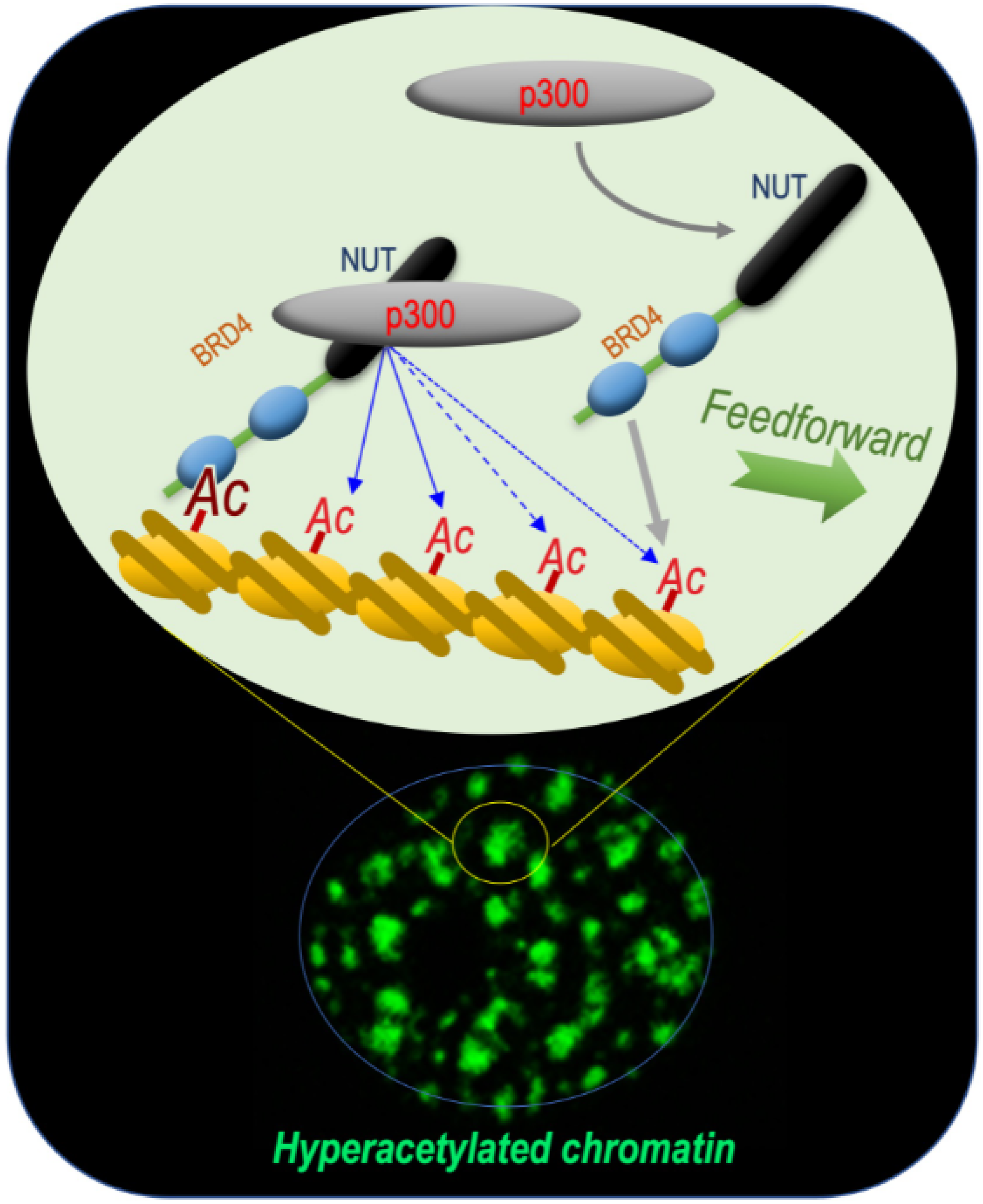 Cancers 14 02234 g001