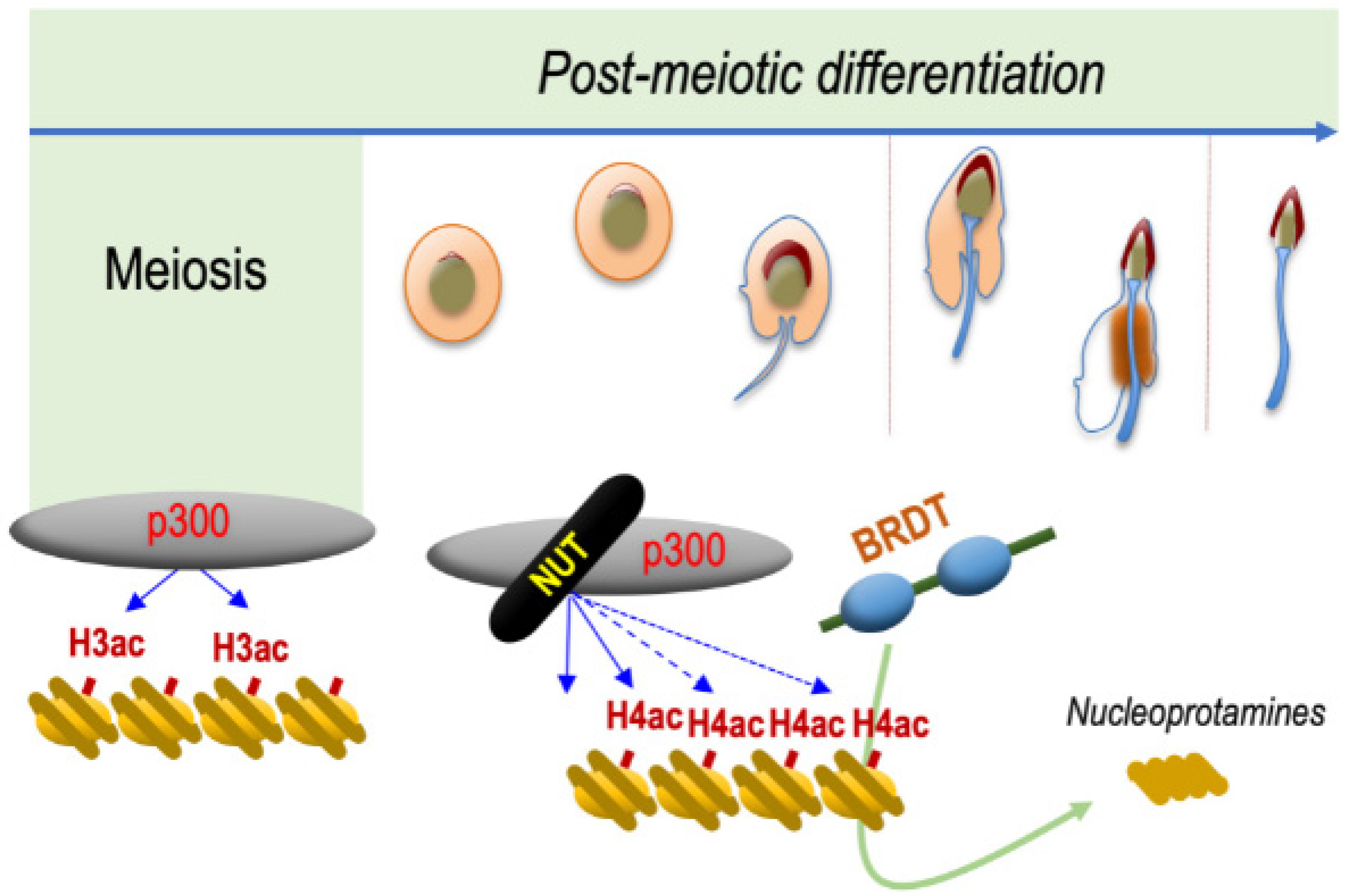 Cancers 14 02234 g002