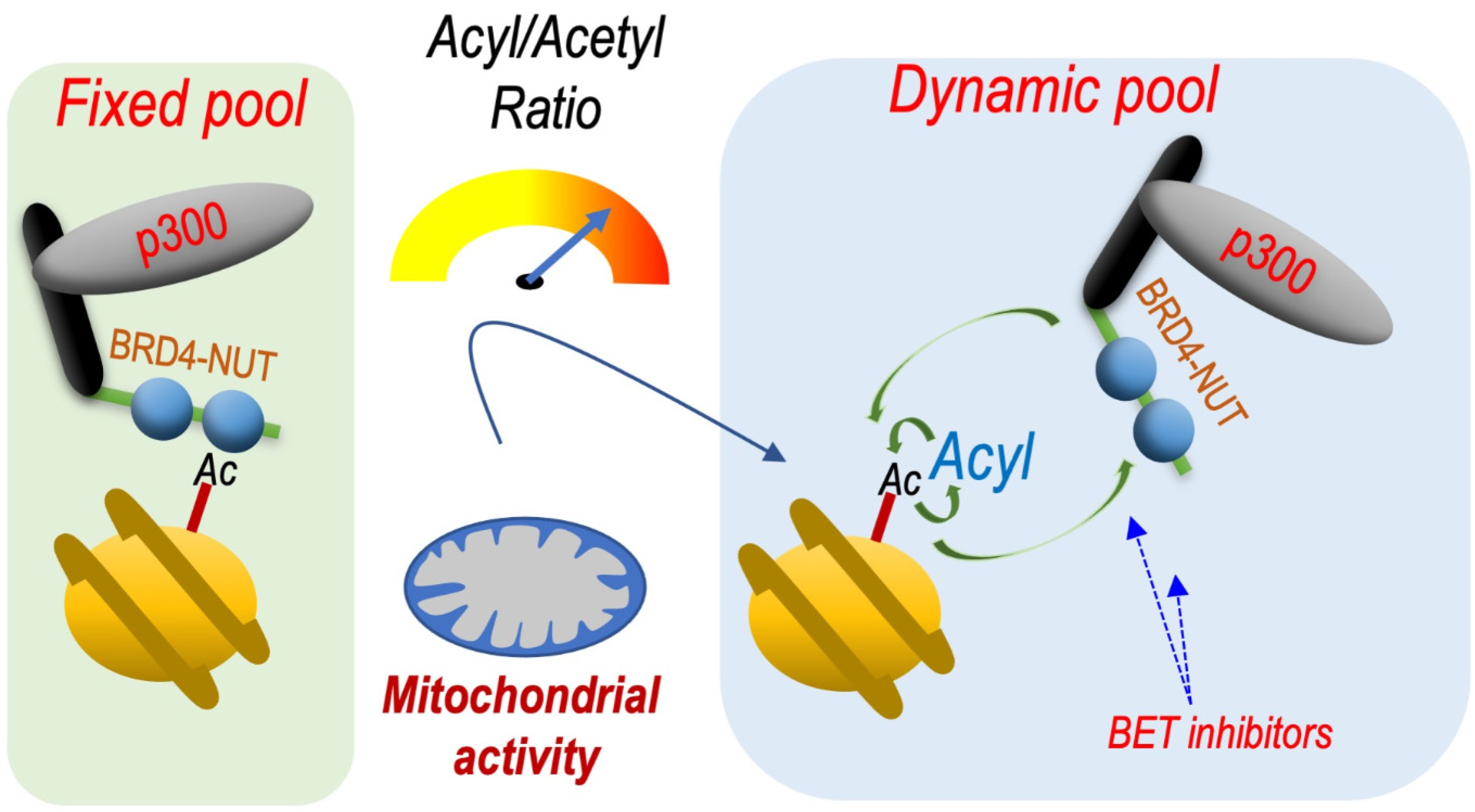 Cancers 14 02234 g003