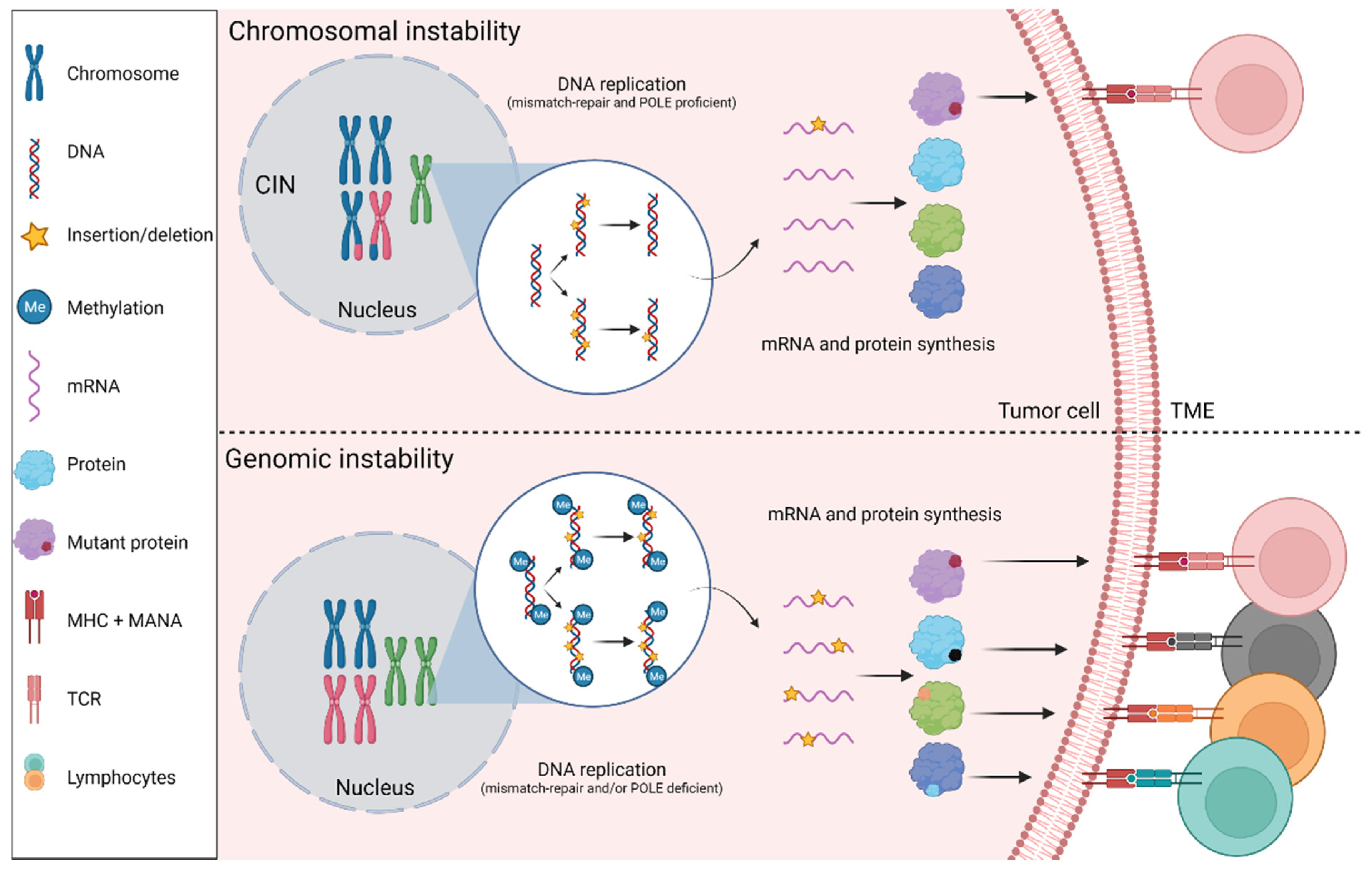 Cancers 14 02241 g001