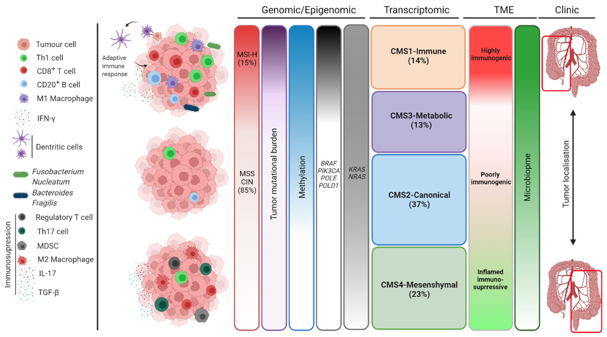 Cancers 14 02241 g002