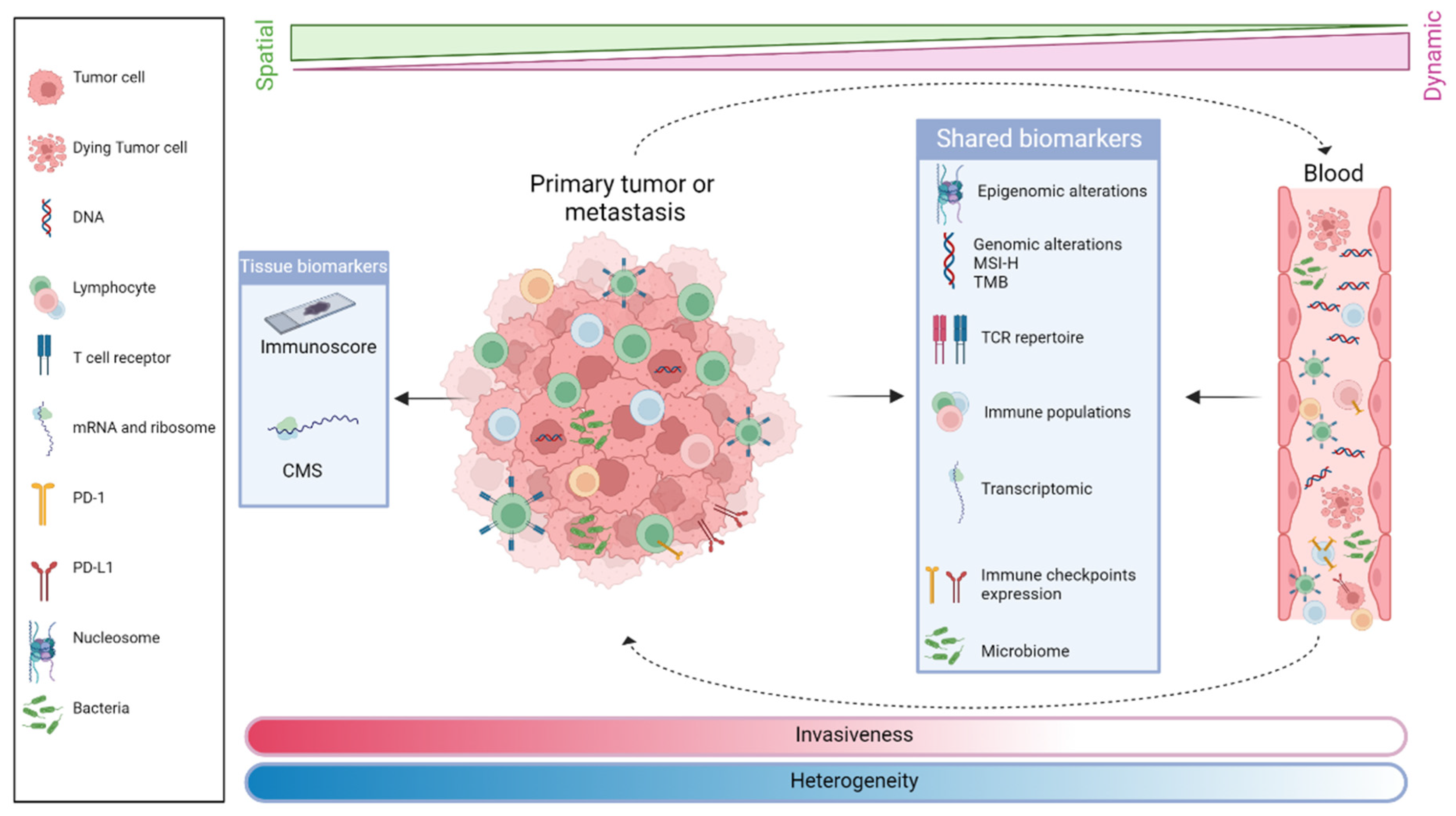 Cancers 14 02241 g003