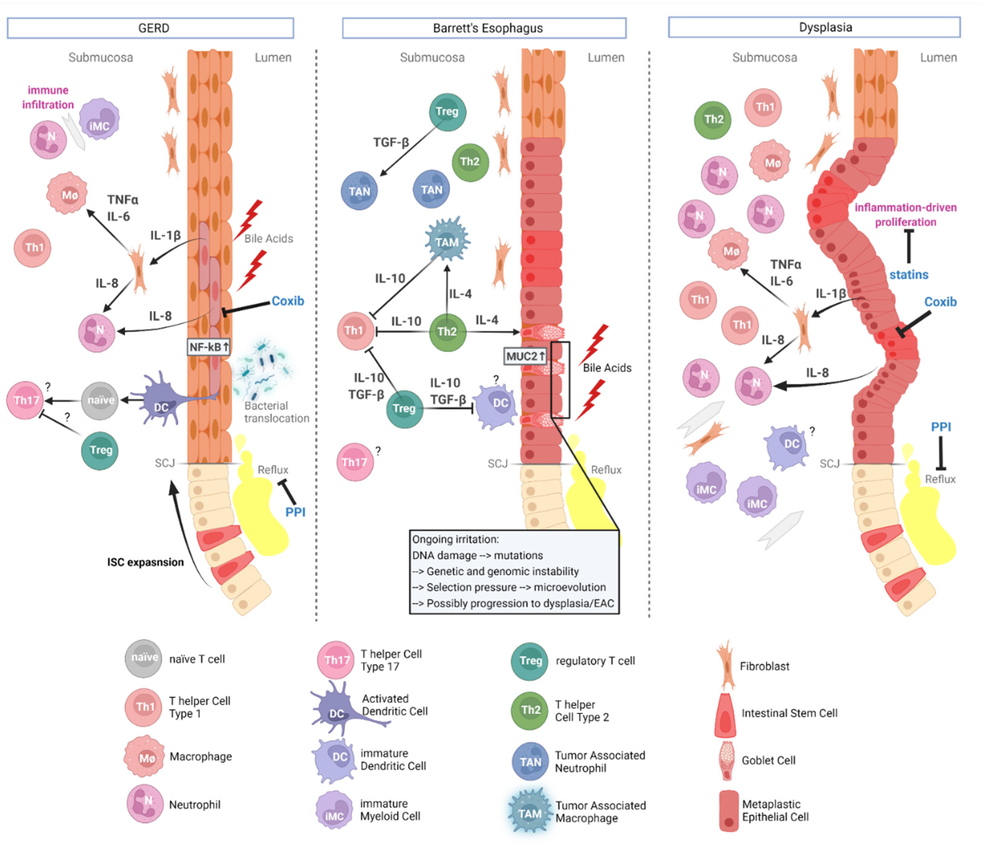 Cancers 14 02246 g001