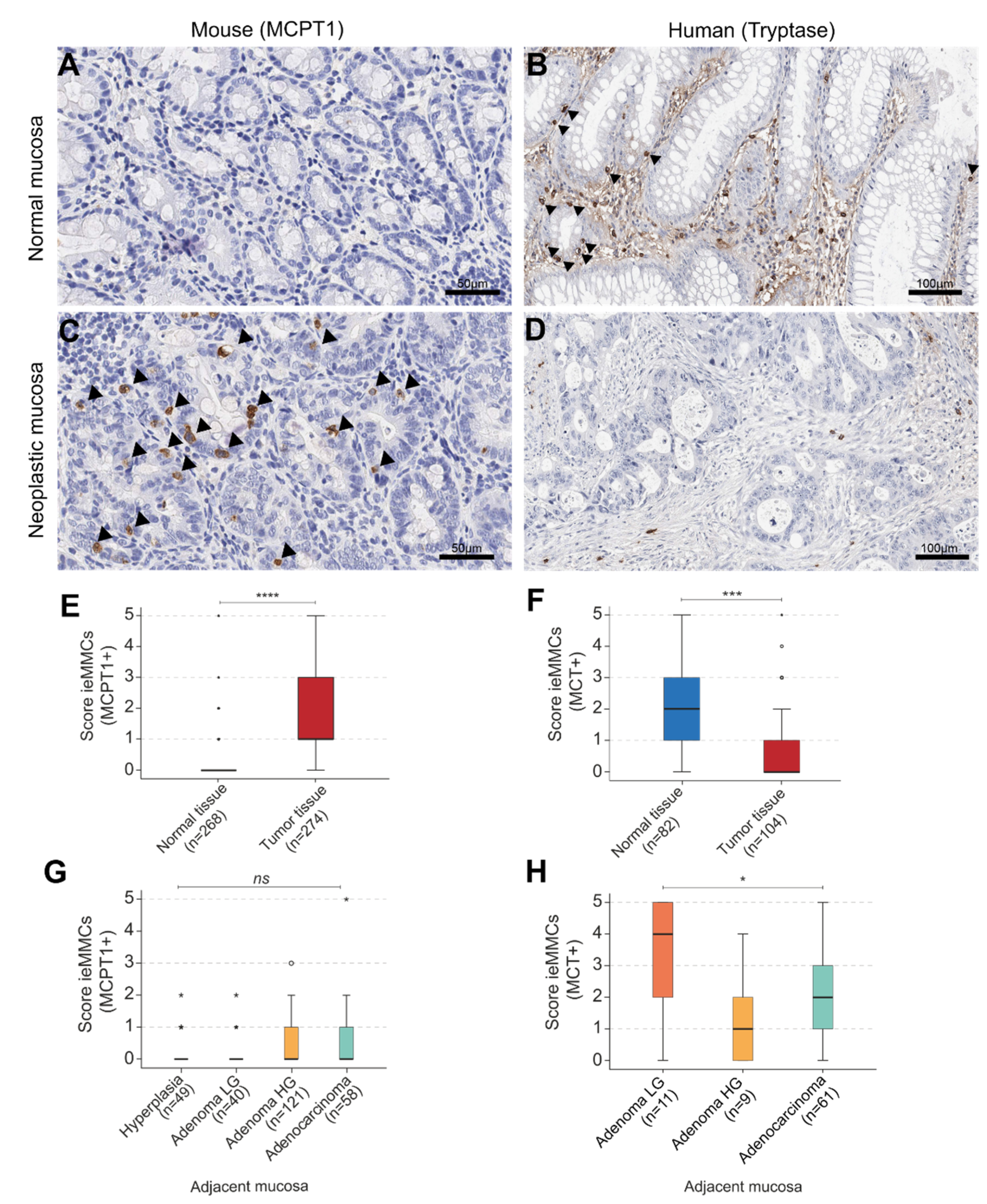 Cancers 14 02248 g005