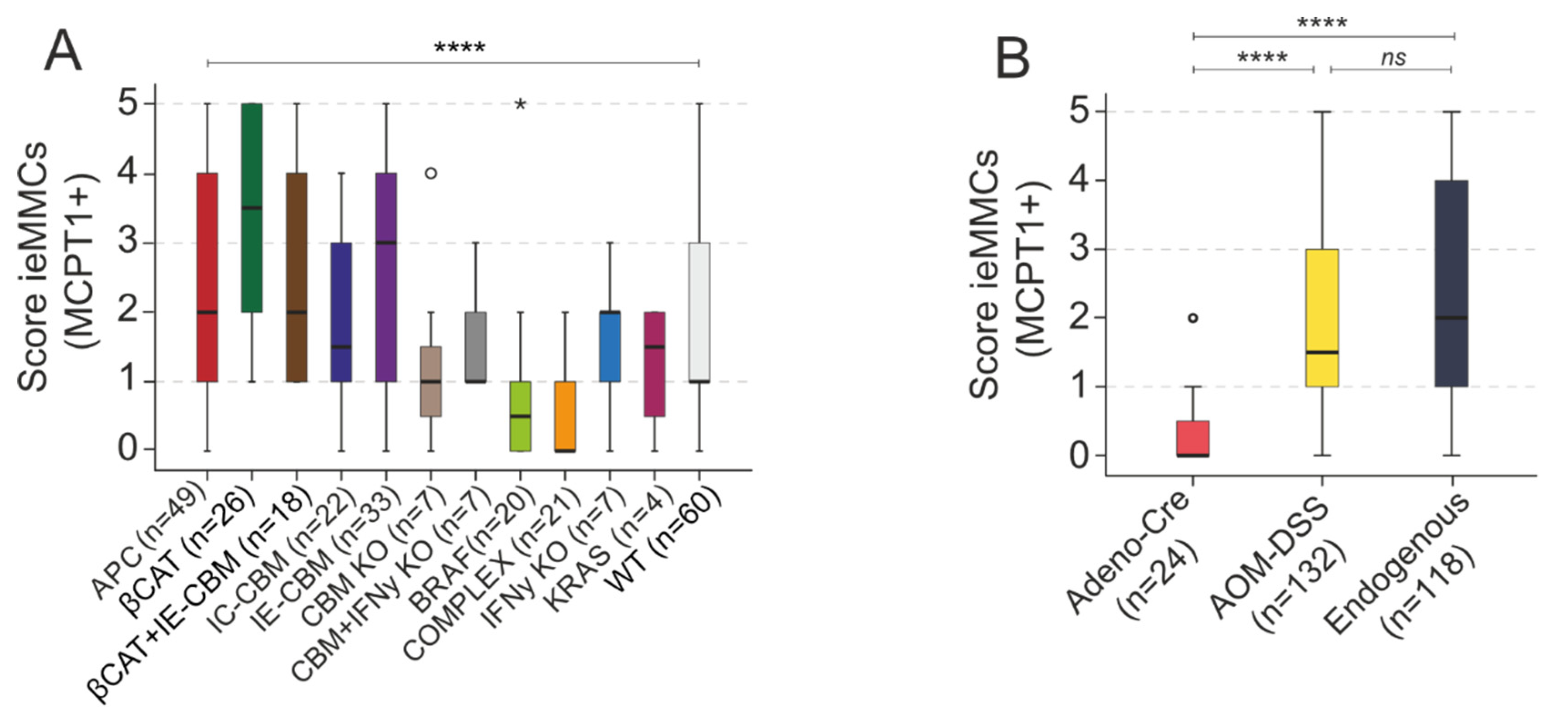 Cancers 14 02248 g007