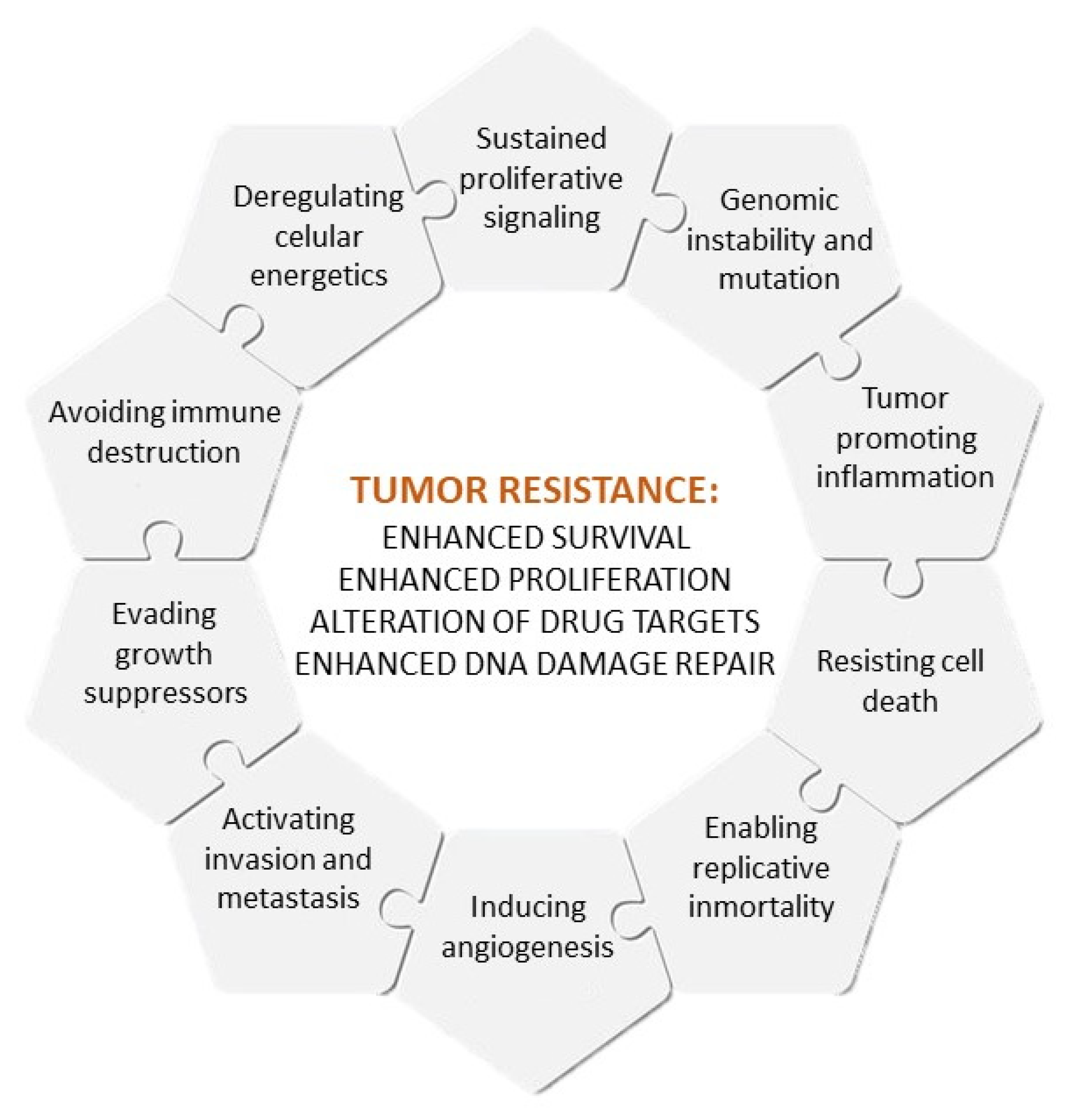 Cancers 14 02255 g001