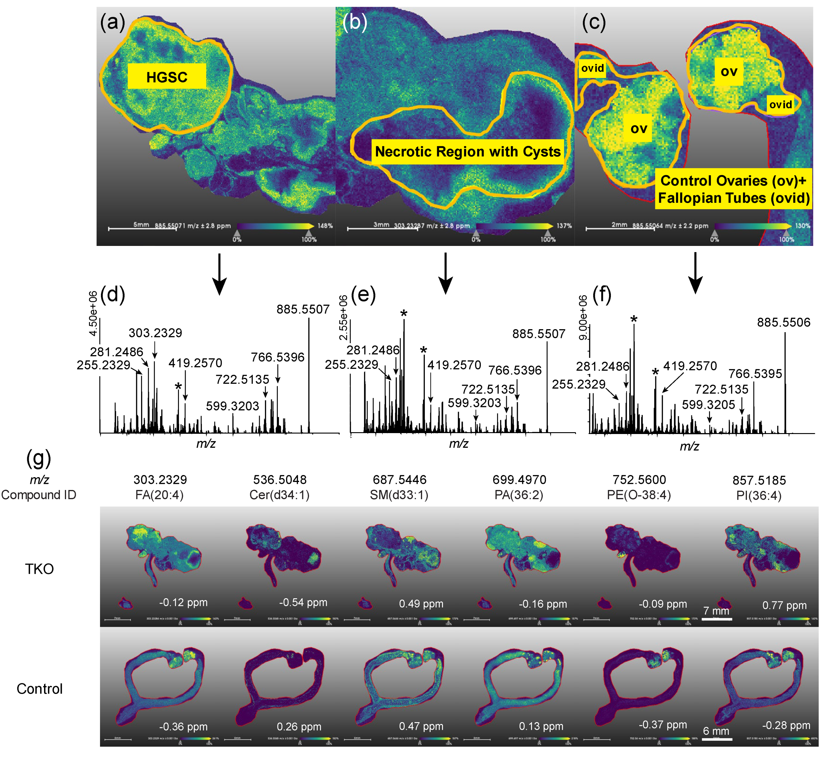 Cancers 14 02262 g004