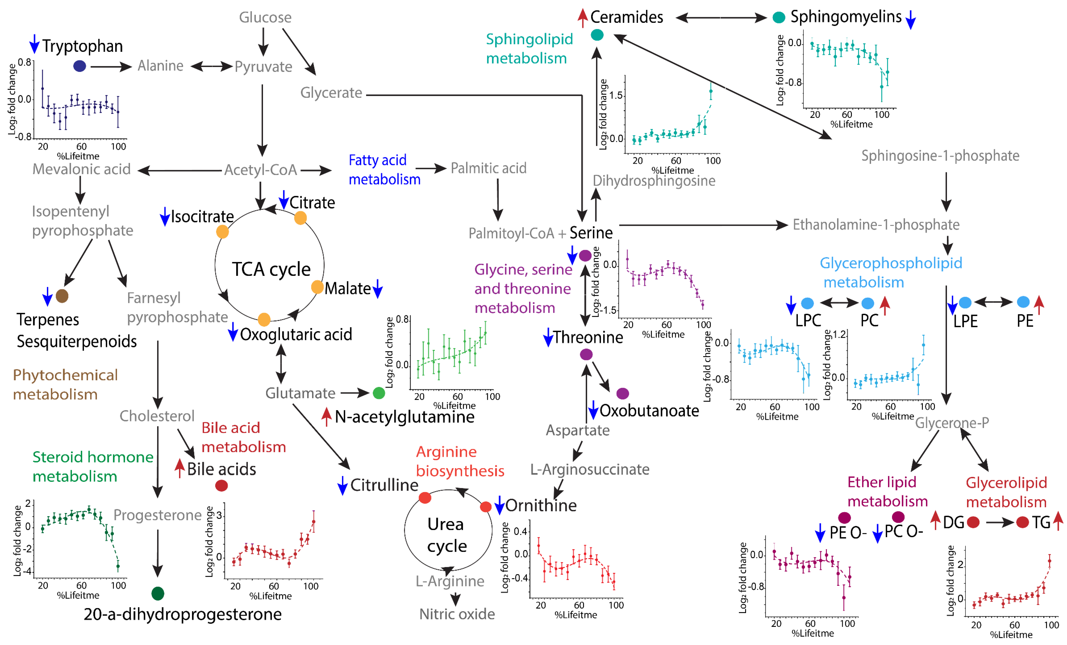 Cancers 14 02262 g005