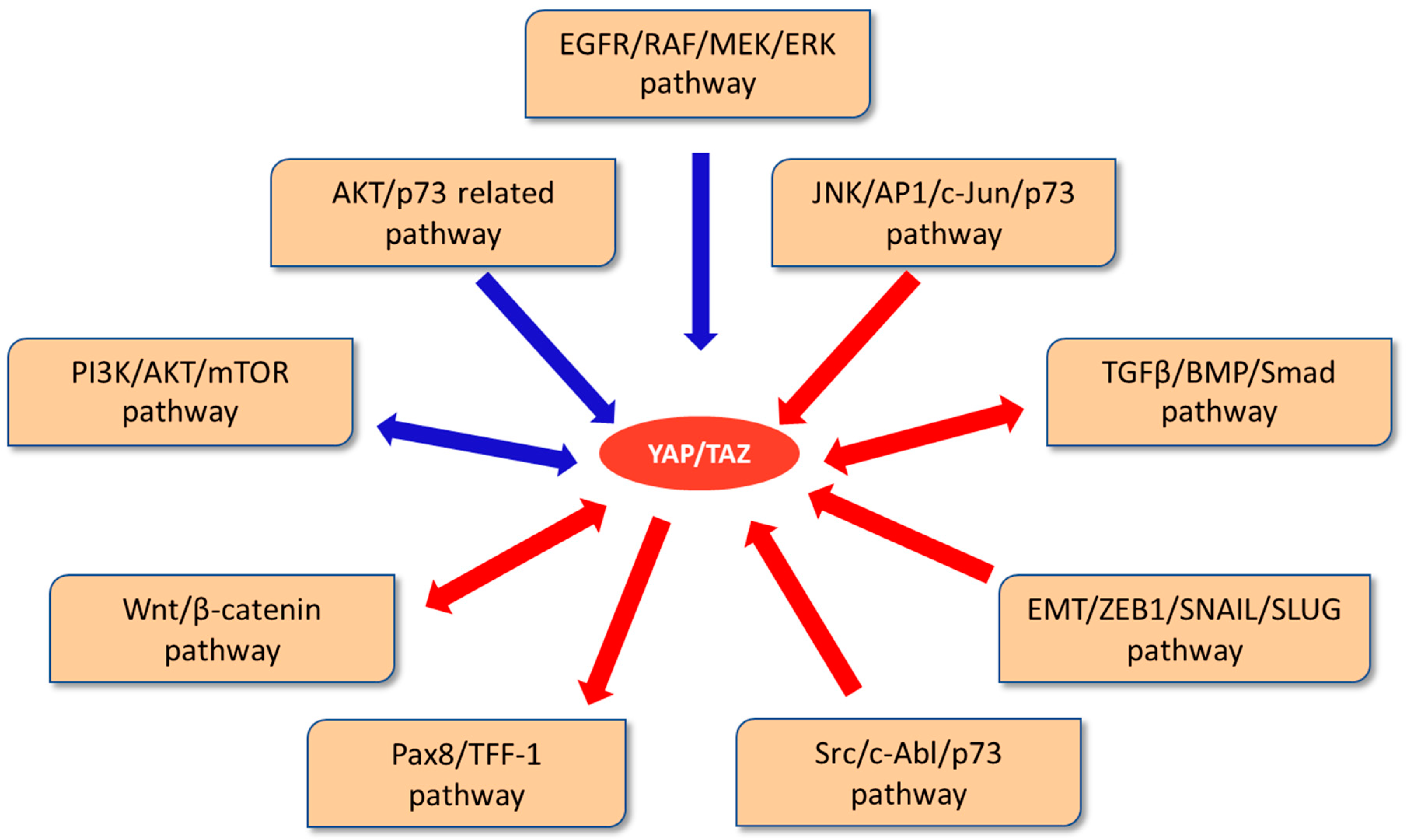 Cancers 14 02282 g002