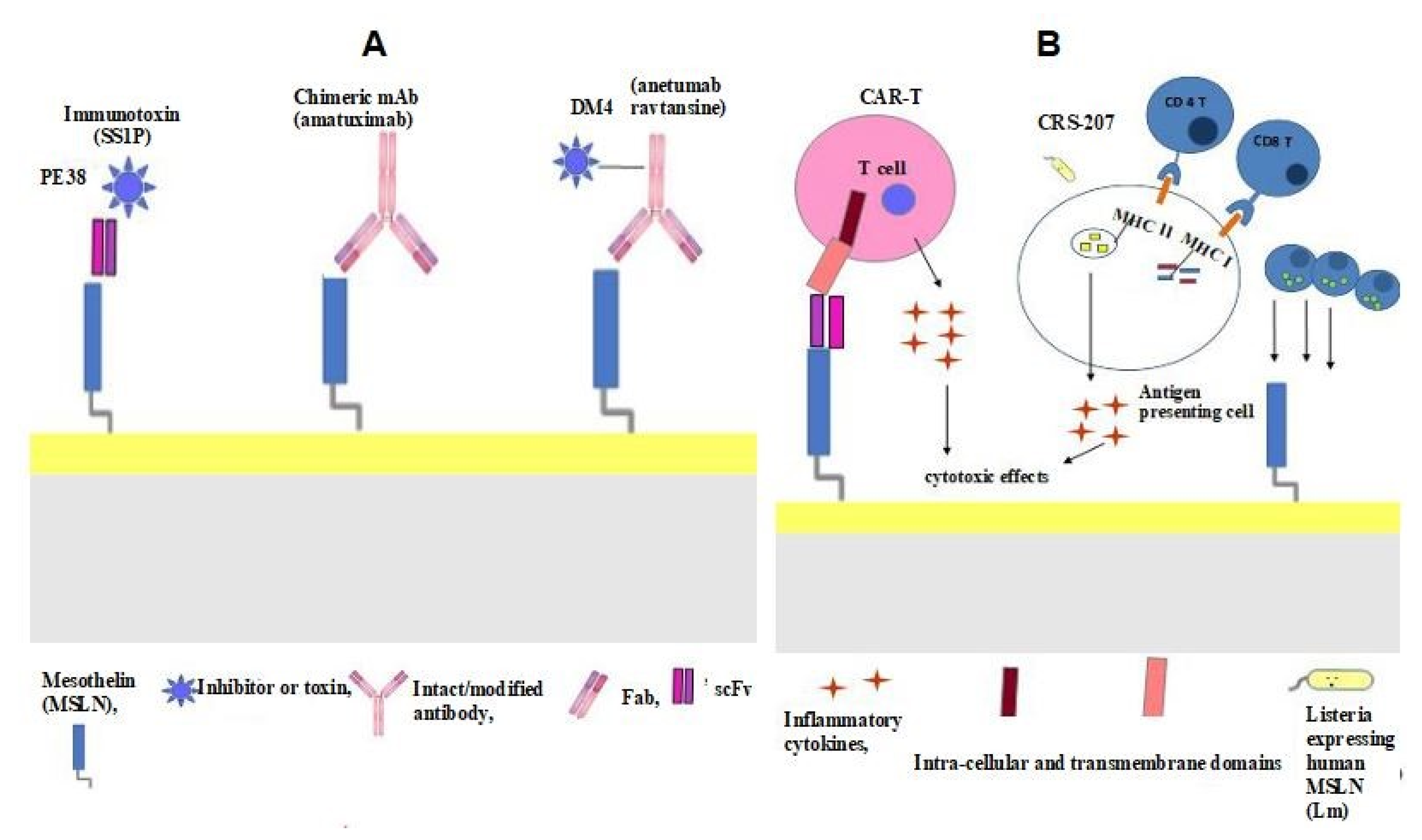 Cancers 14 02283 g003 Cancers 14 02283 g003
