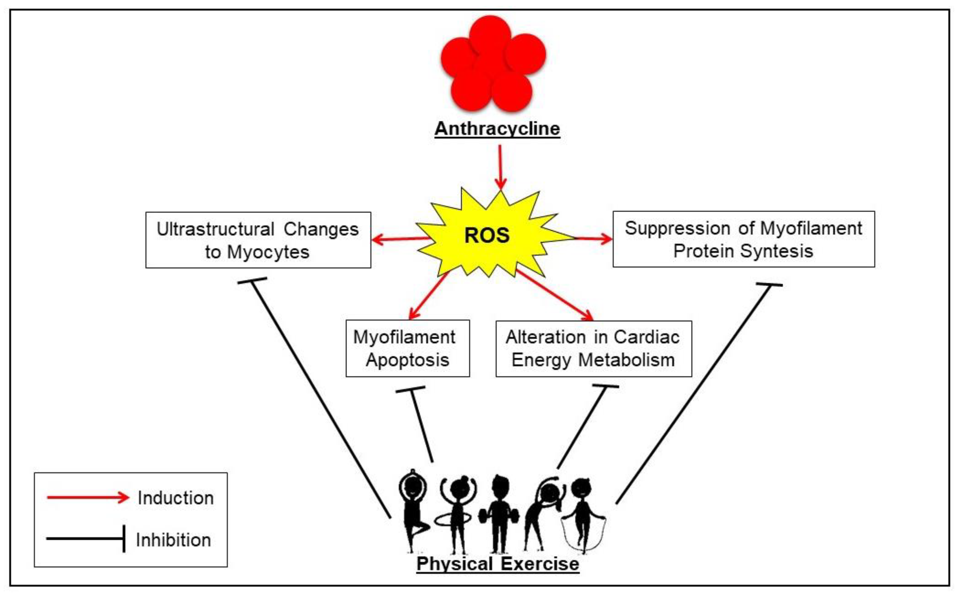 Cancers 14 02288 g002 Cancers 14 02288 g002
