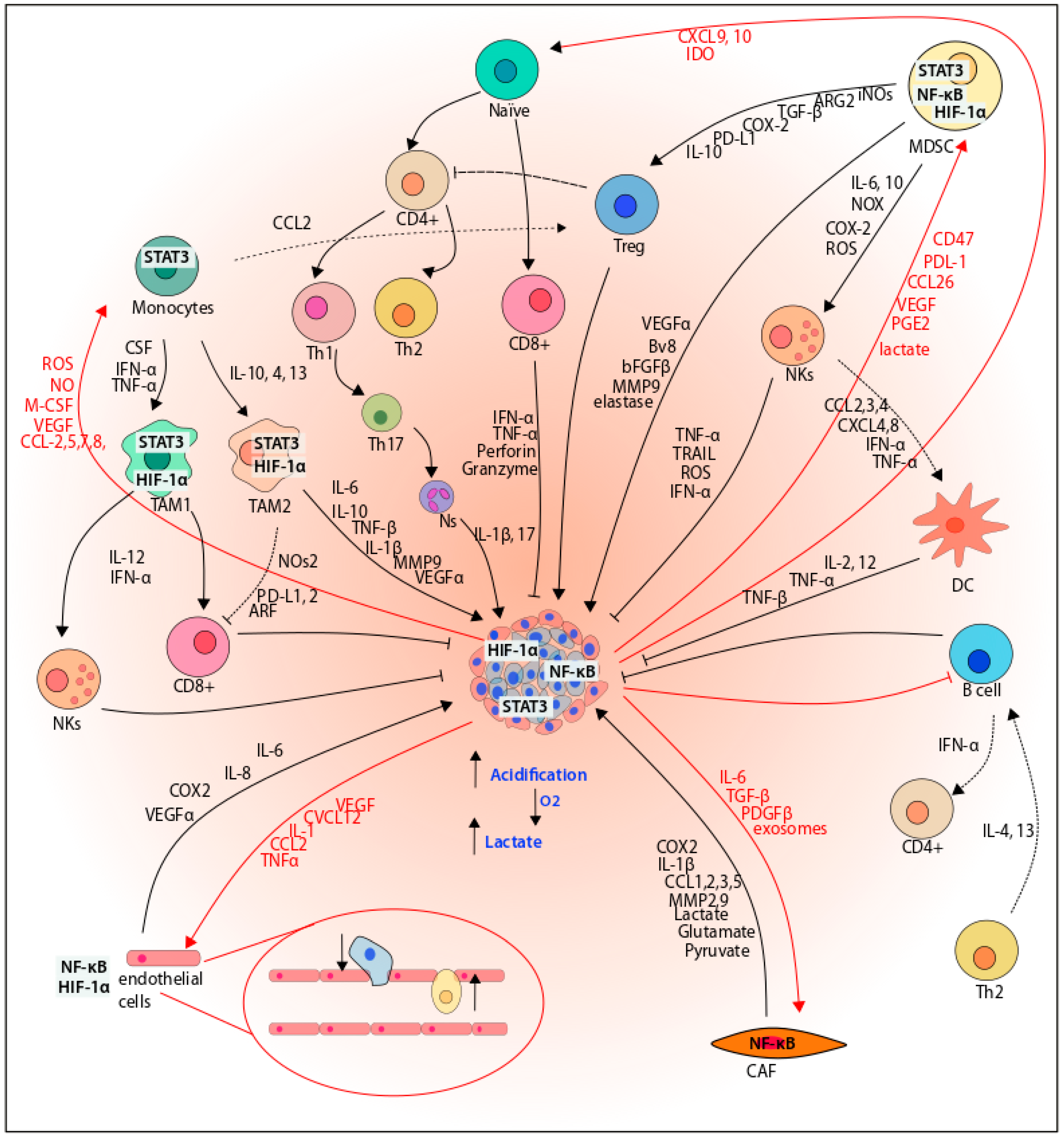 Cancers 14 02291 g006 Cancers 14 02291 g006