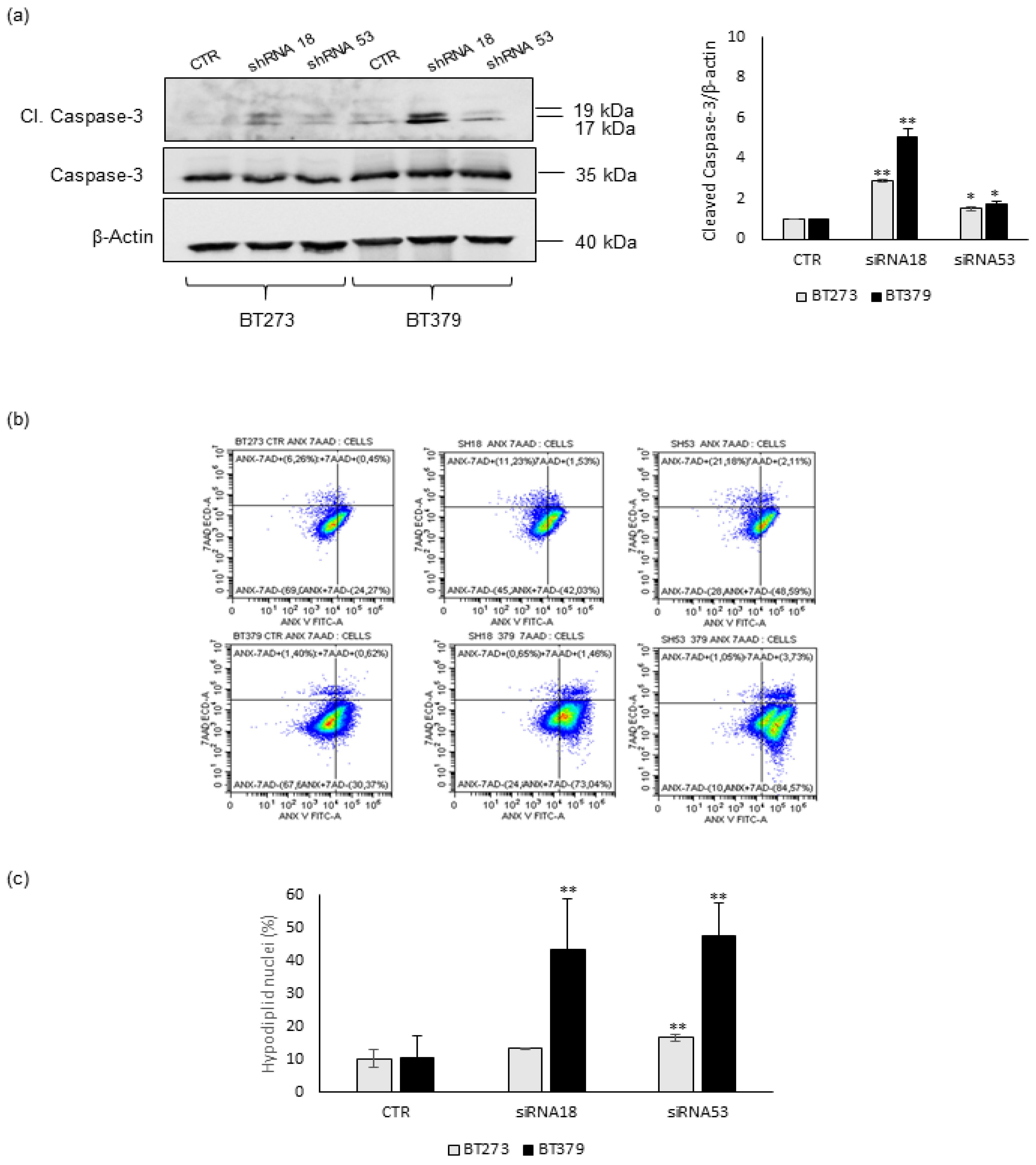 Cancers 14 02304 g002